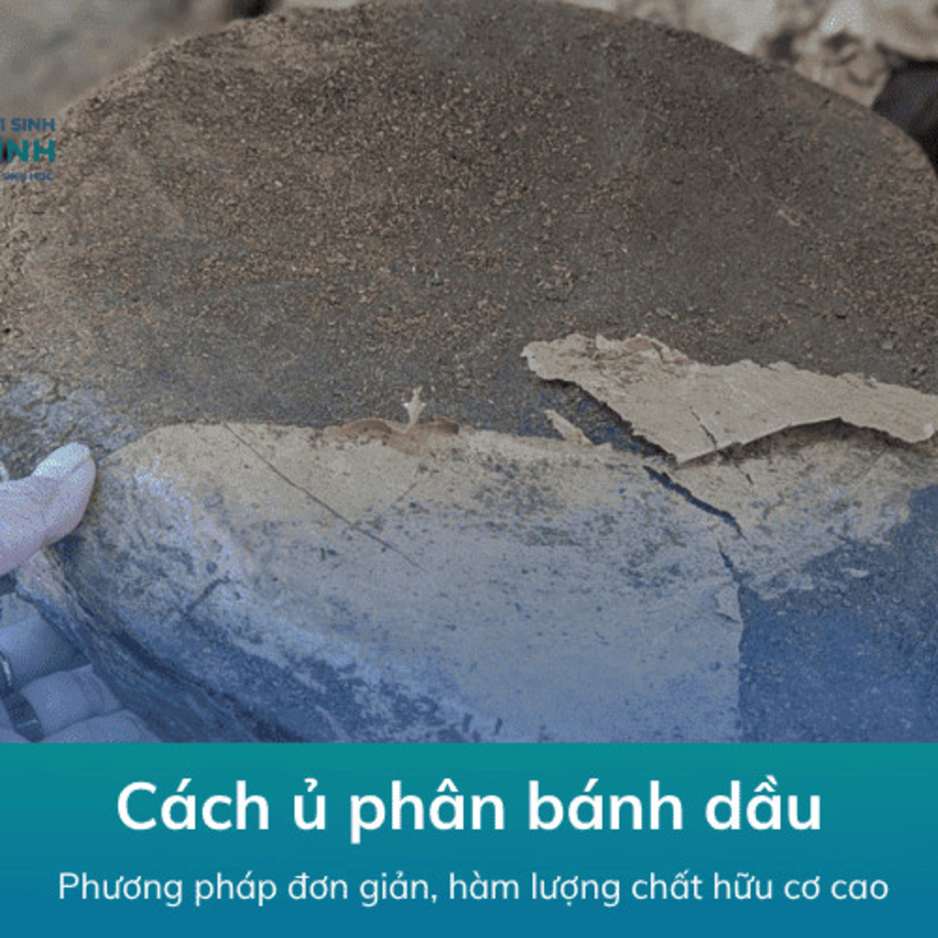 Cách Ủ Phân Bánh Dầu Không Hôi episode artwork