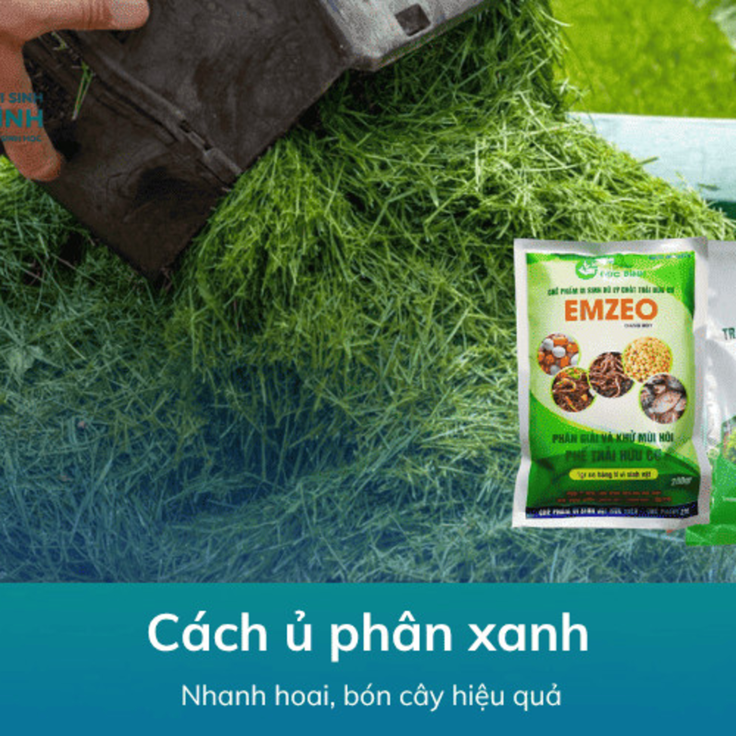 Cách Ủ Phân Xanh episode artwork