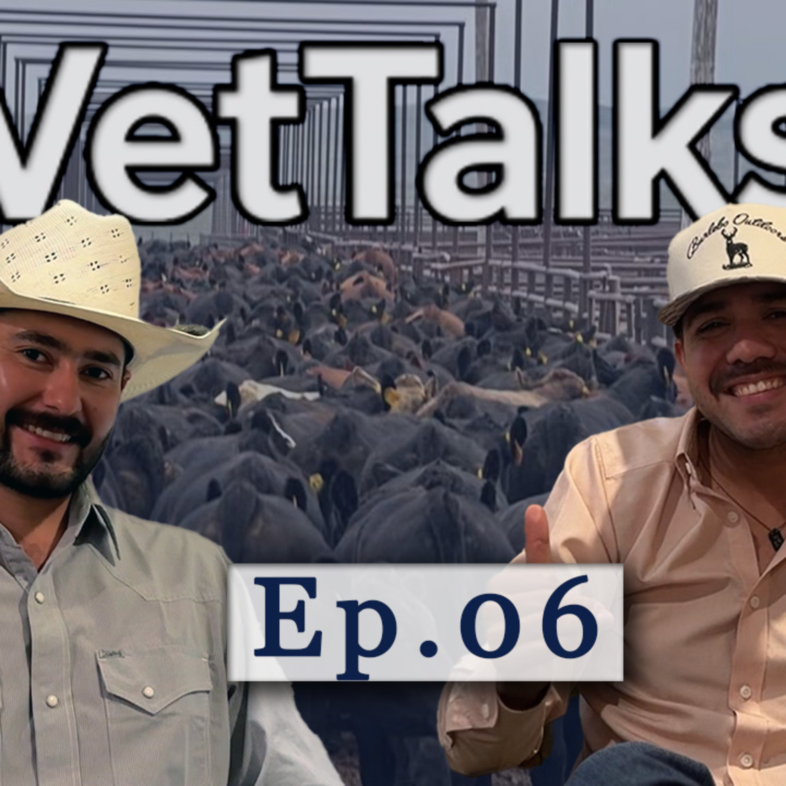 Portada de VetTalks | Podcast