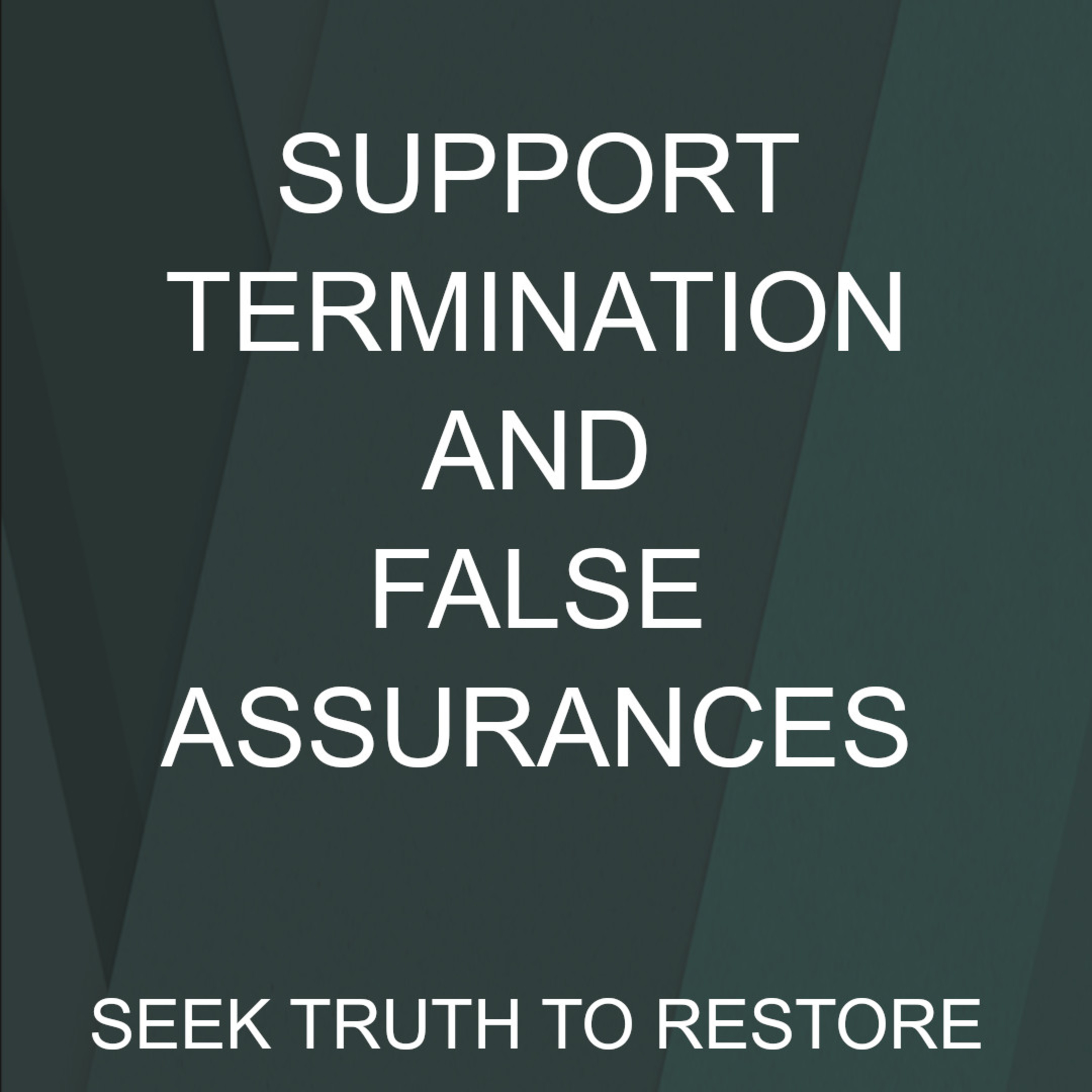 Episode 12-Support Termination and False Assurances episode artwork