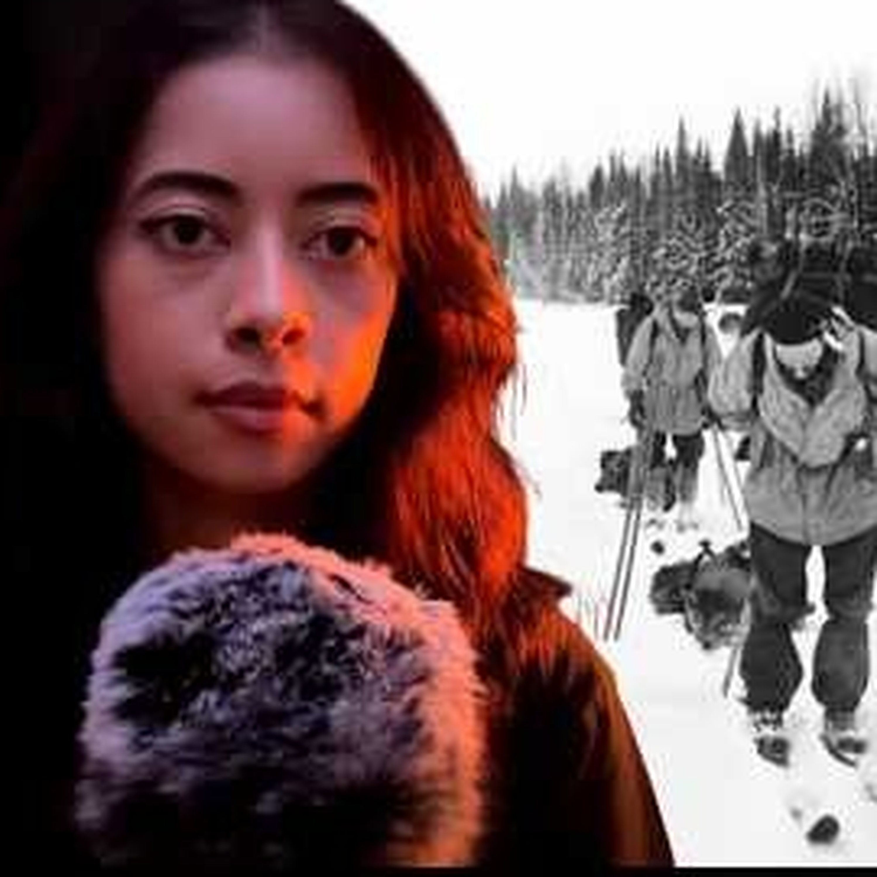 Why Did They Flee the Tent? The Dyatlov Pass Mystery episode artwork