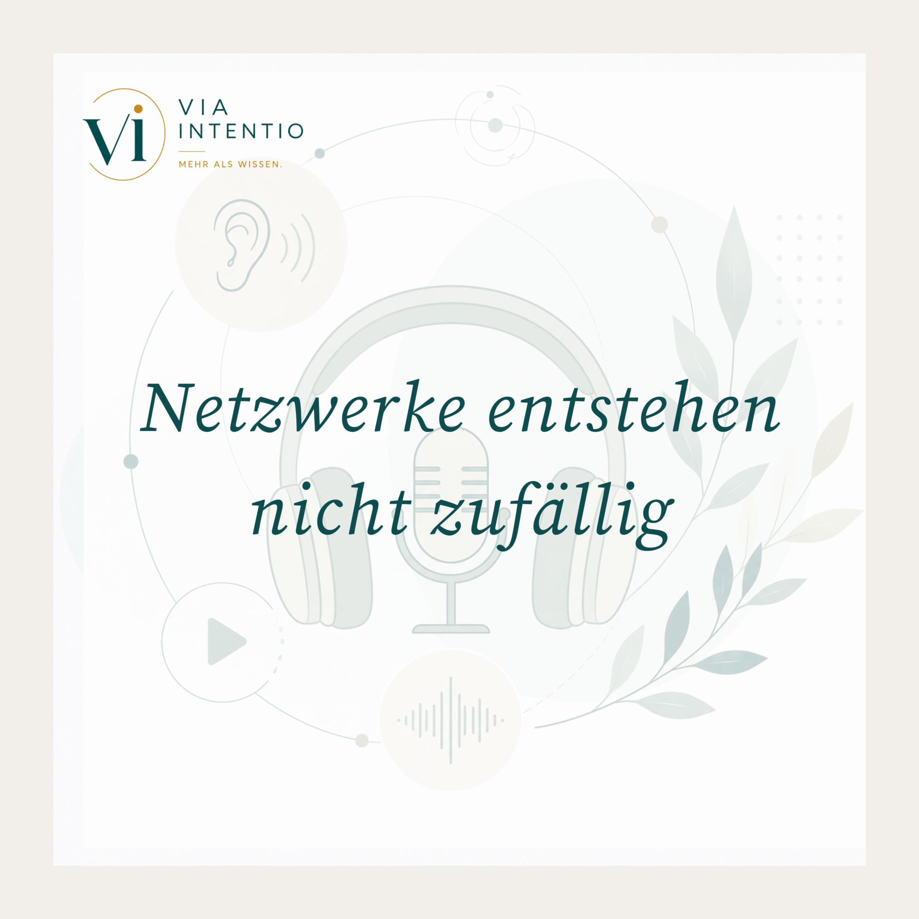 Netzwerke entstehen nicht zufällig episode artwork
