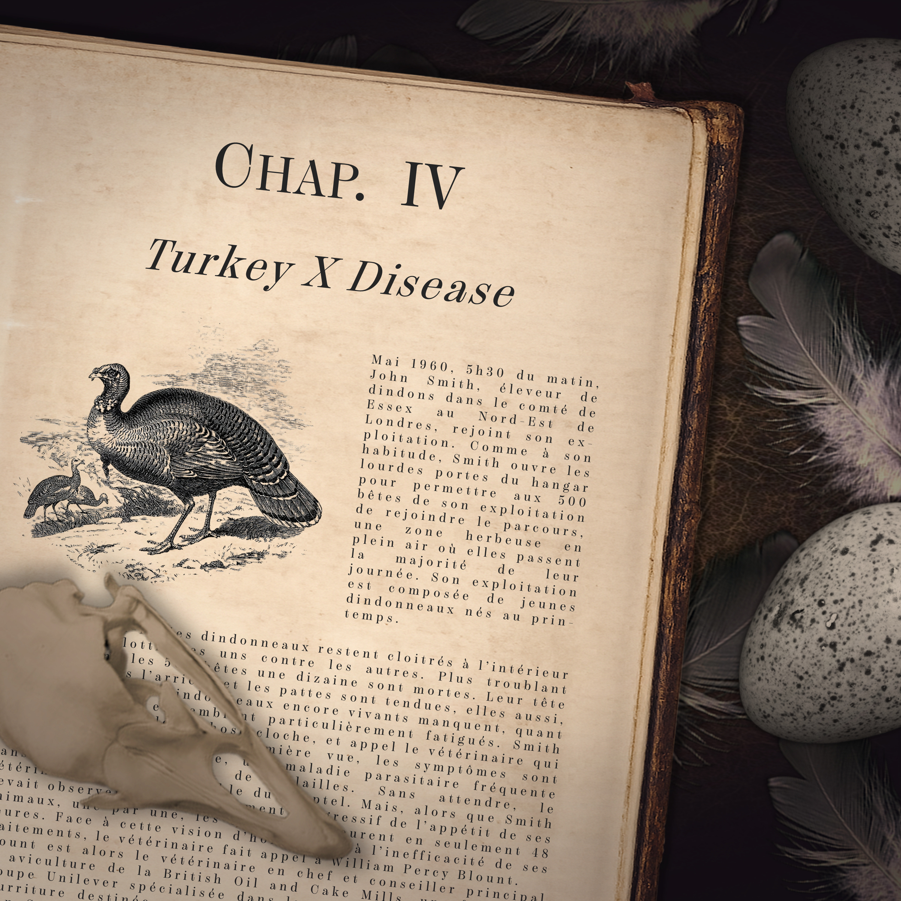 Turkey X Disease episode artwork