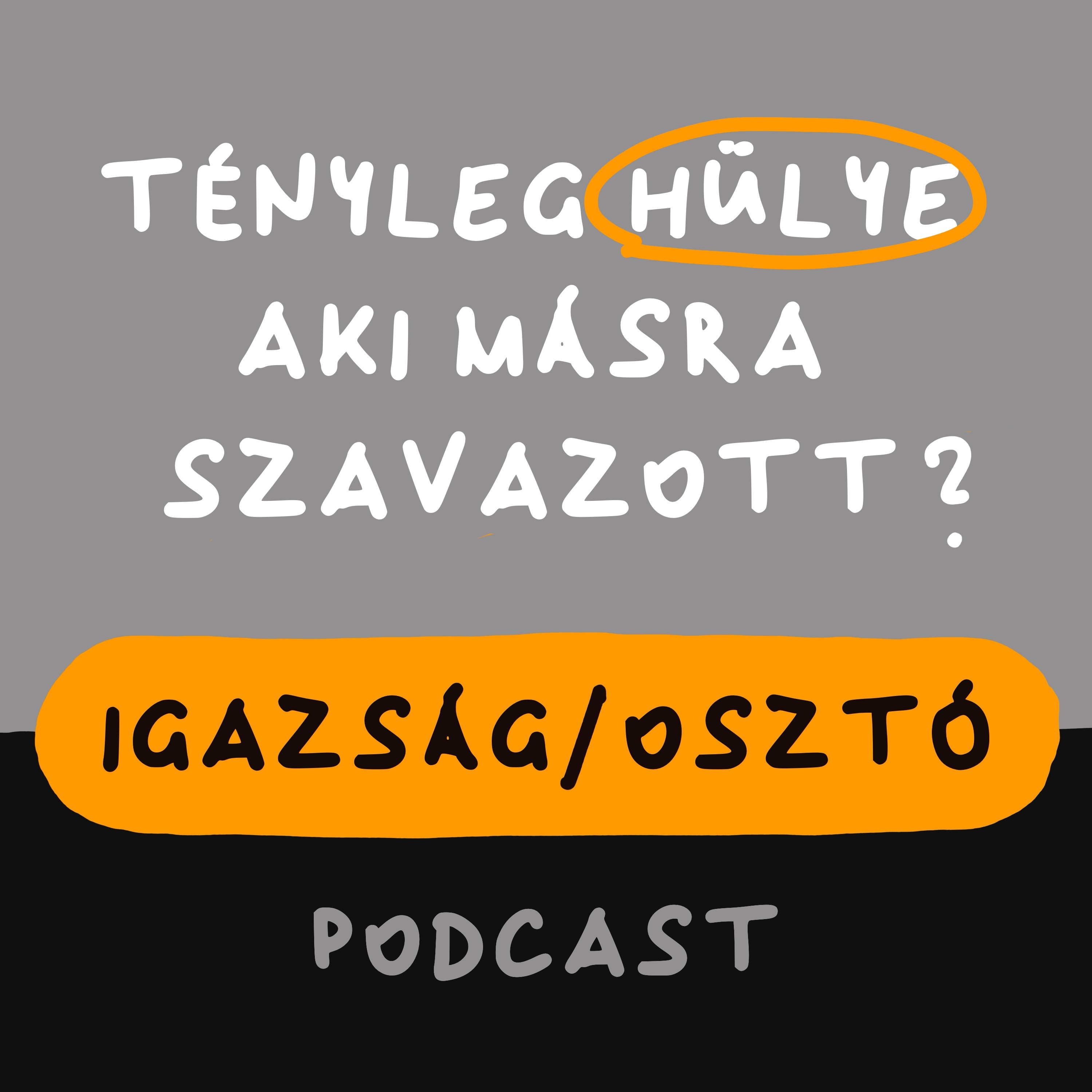 #002 Tényleg minden jobboldali szavazó hülye, és ha igen, akkor miért nem?