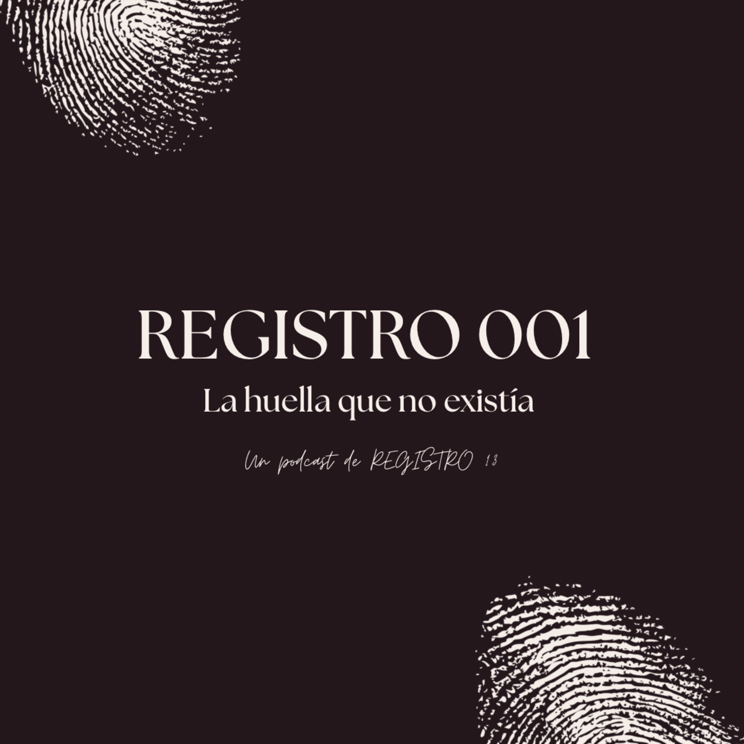 Portada de Registro 13