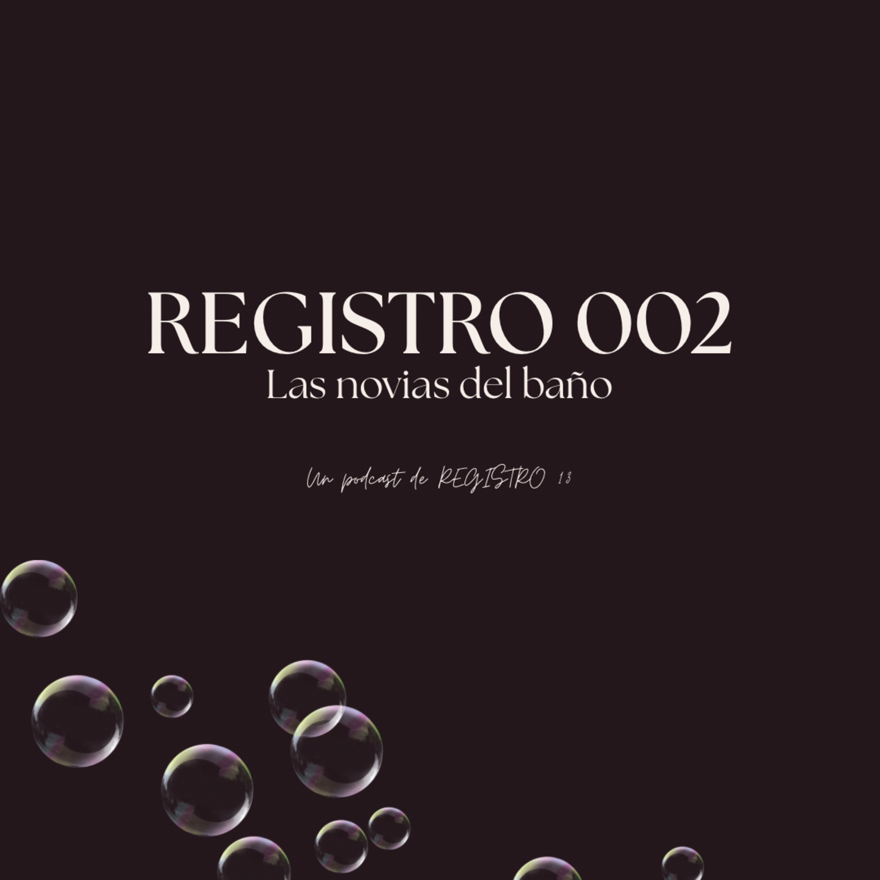 Portada de Registro 13