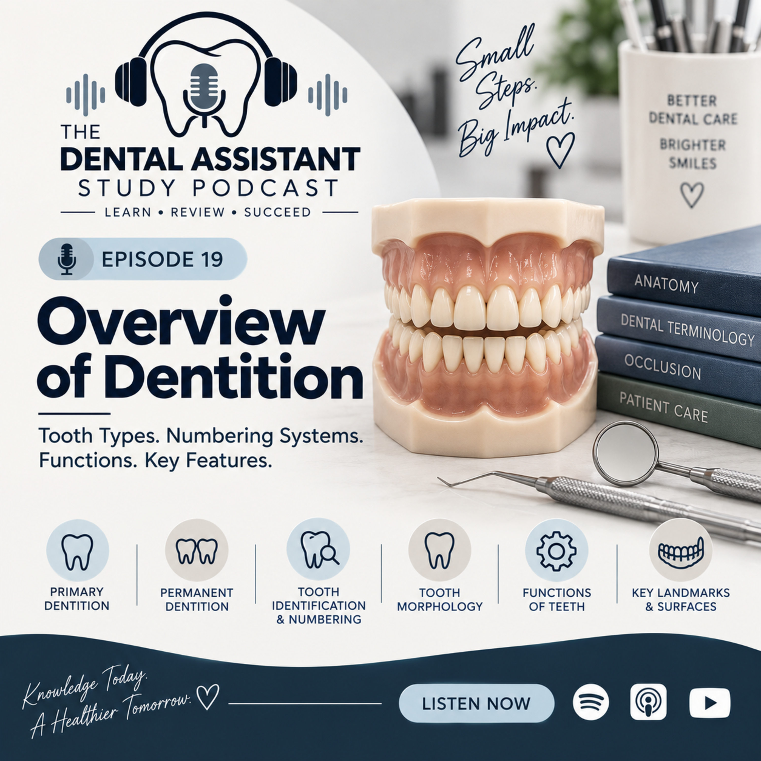 Overview of Dentition