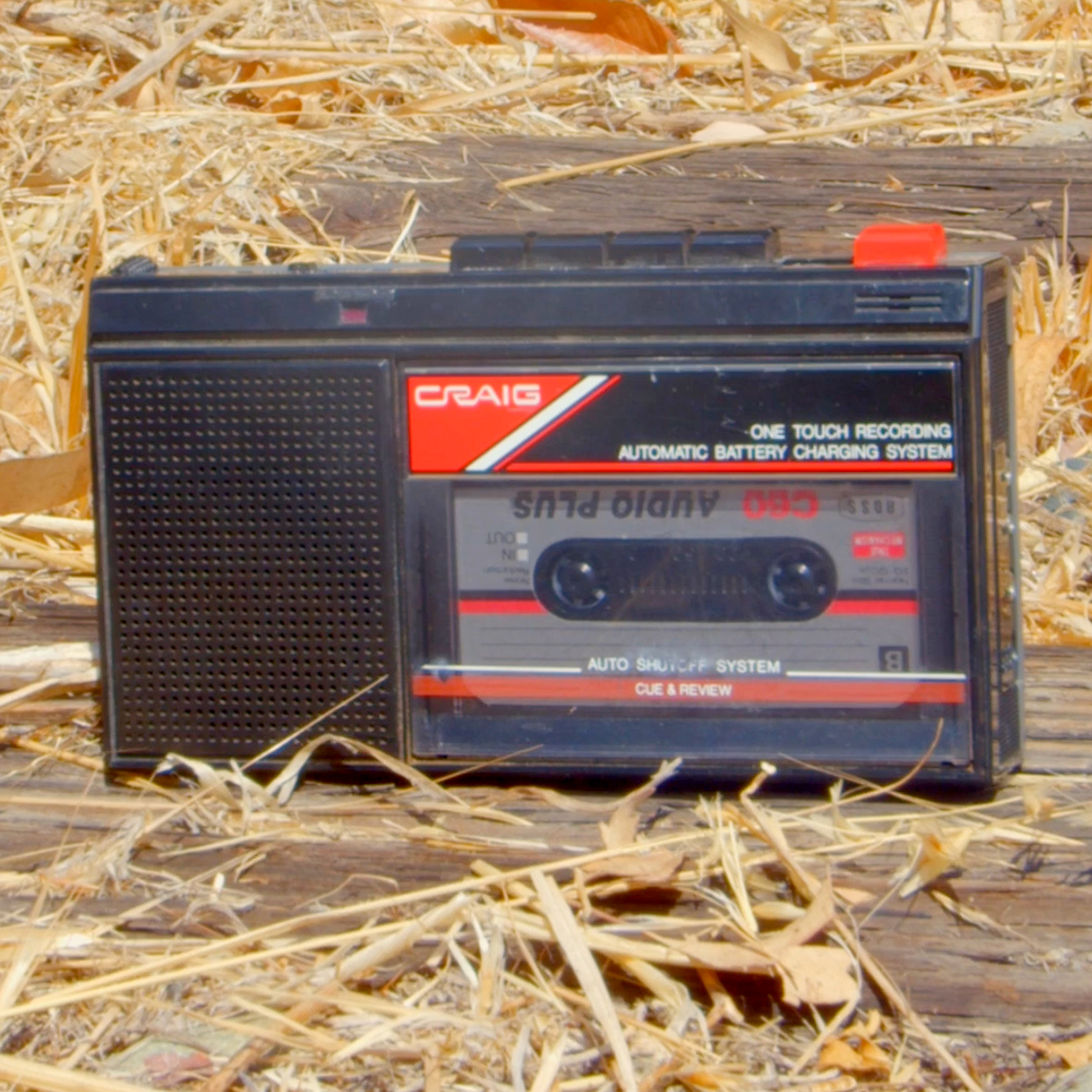 The Survivor Tapes