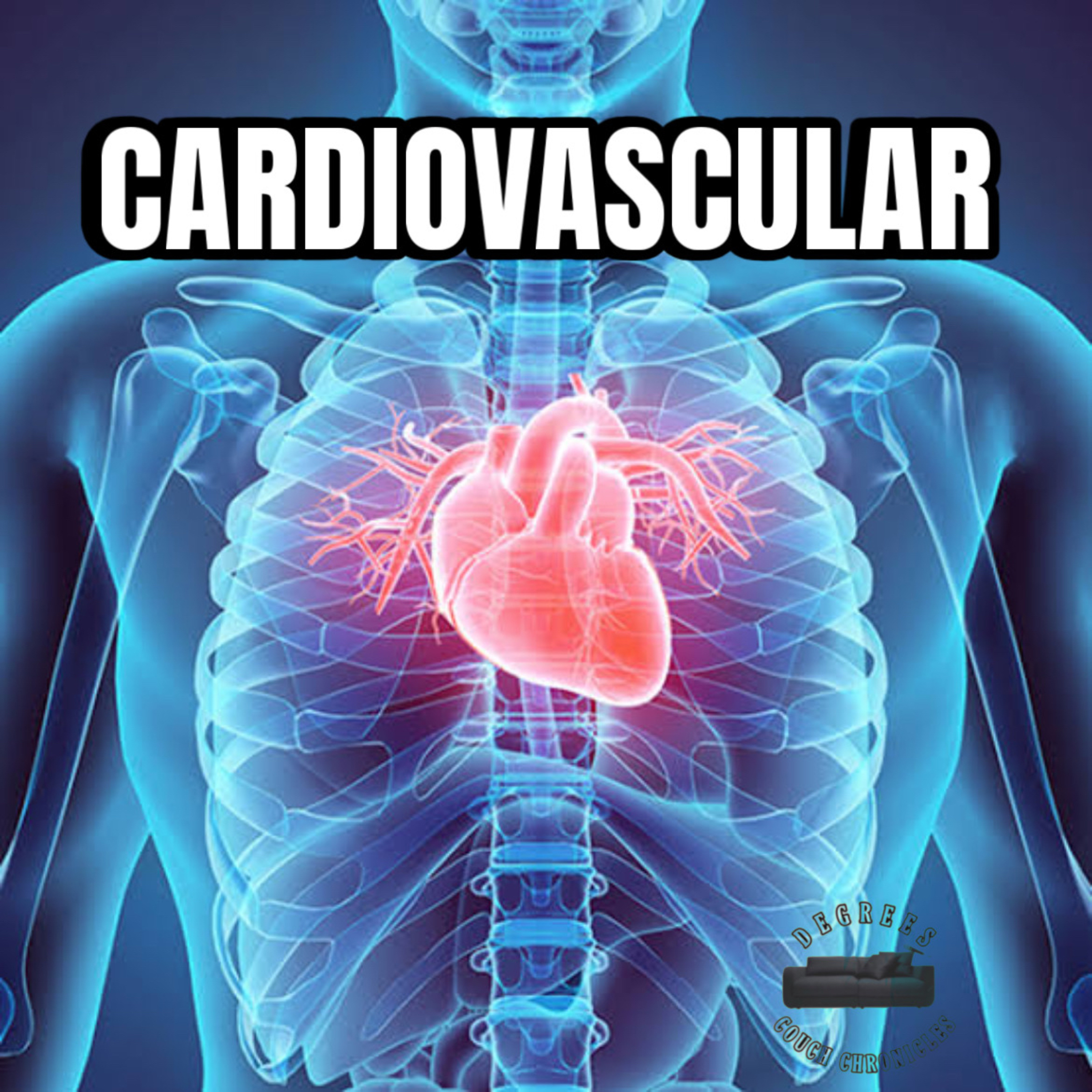 "Cardiovascular" Episode 287 episode artwork