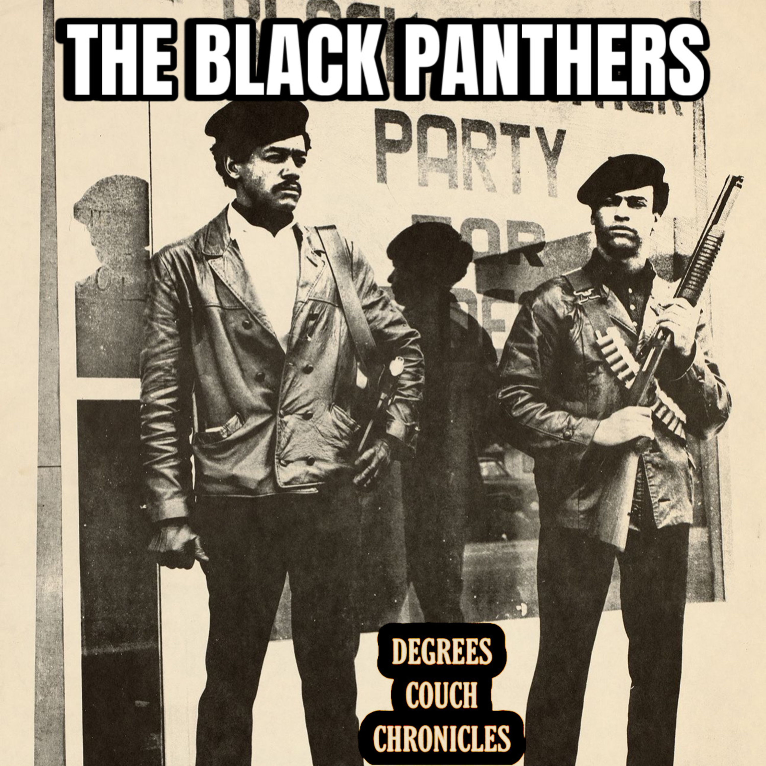 "The Black Panthers" Episode 296 episode artwork