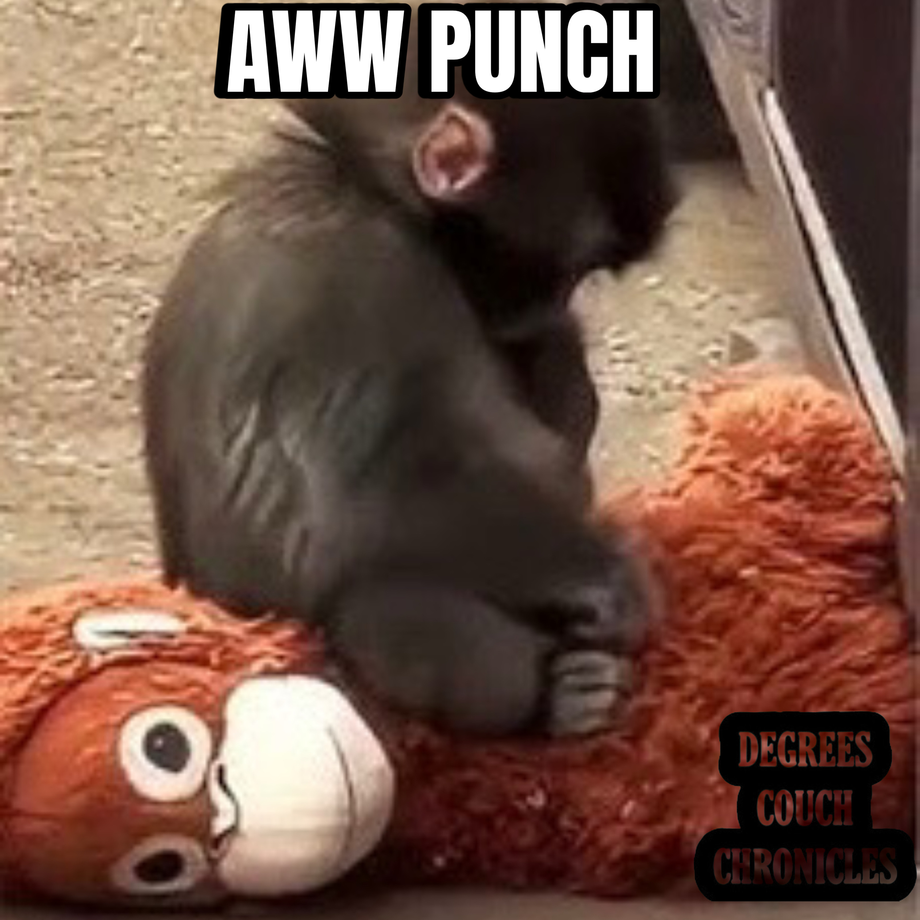 " Aww Punch " Episode 302 episode artwork