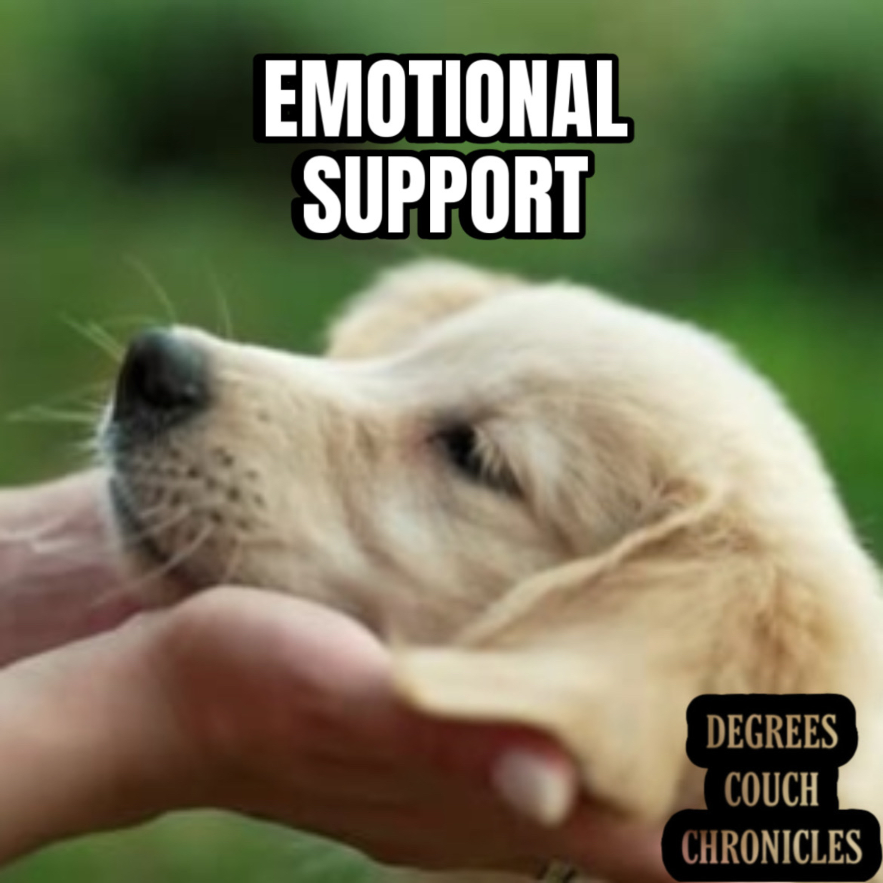 "Emotional Support" Episode 313 episode artwork