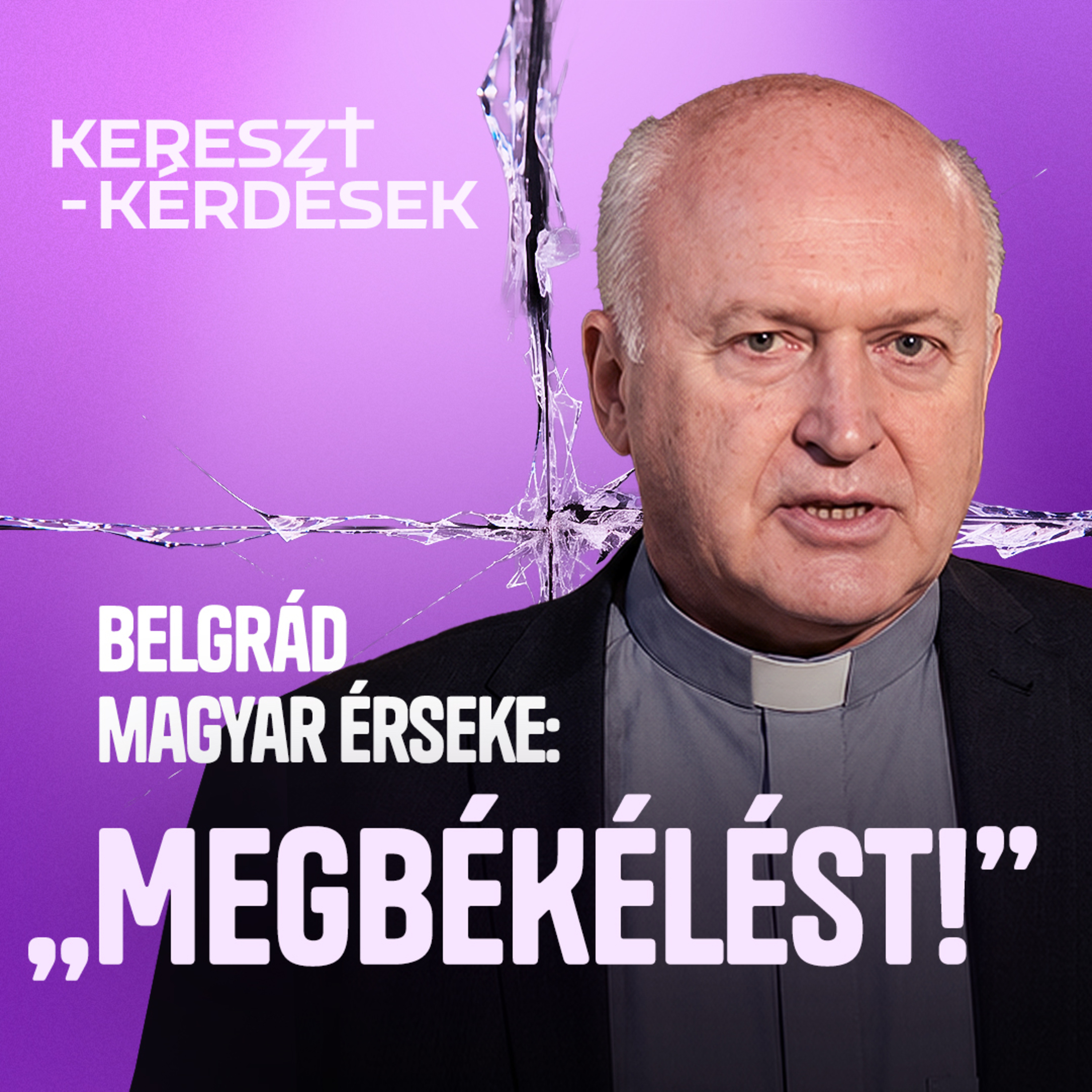 Nem lehetünk egymás ellenségei – Német László bíboros a megosztottságról