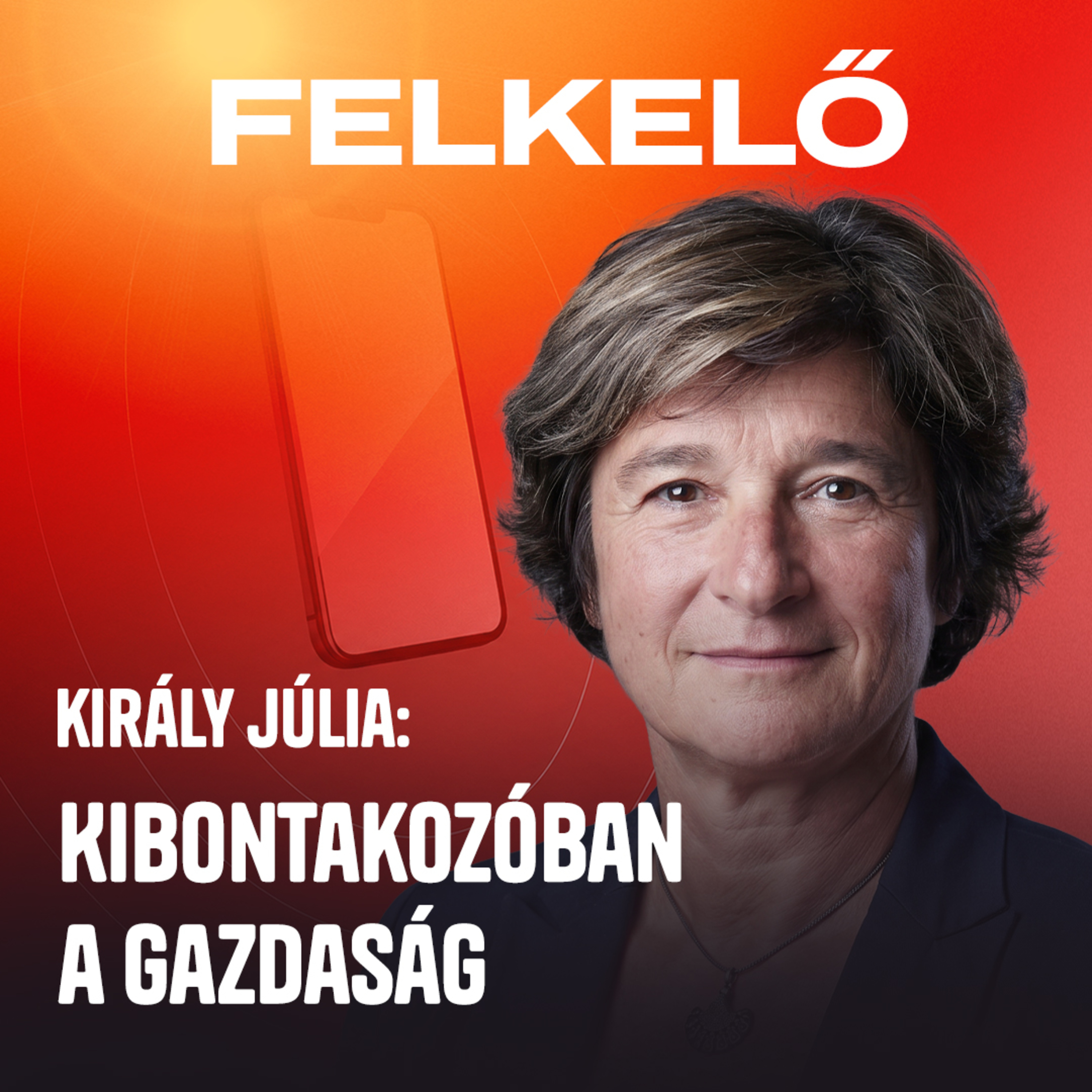 MNB volt alelnöke: Az euró bevezetése inkább hasznos, mint káros