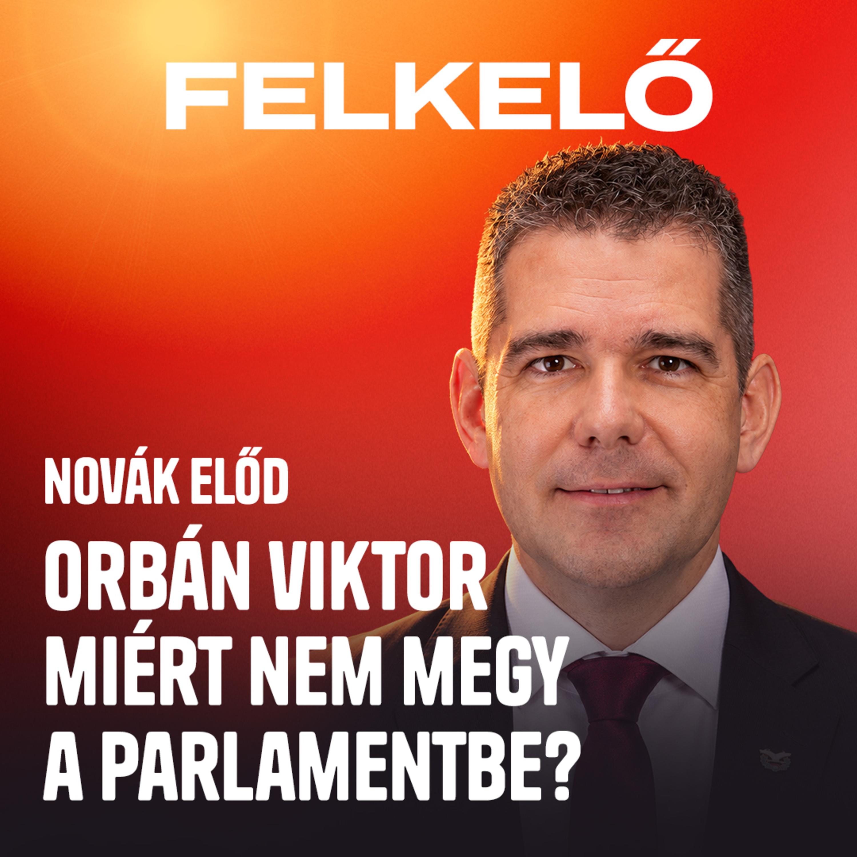 Magyar Pétert hallgatná meg a kegyelmi bizottságban Novák Előd