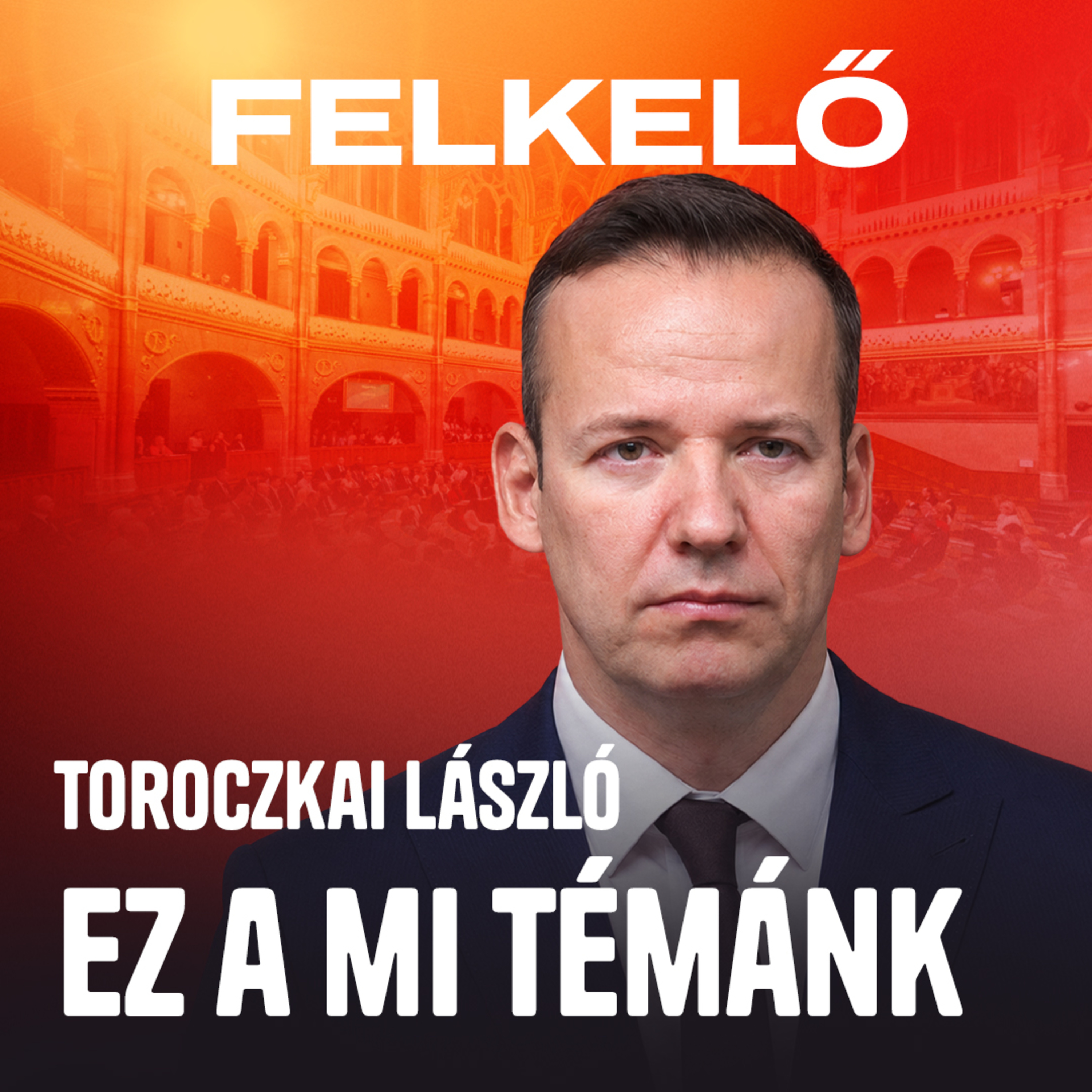 Dávid Ibolyától Fürcht Pálig: Idézések hete a Völner-Schadl vizsgálóbizottságban – Toroczkai László