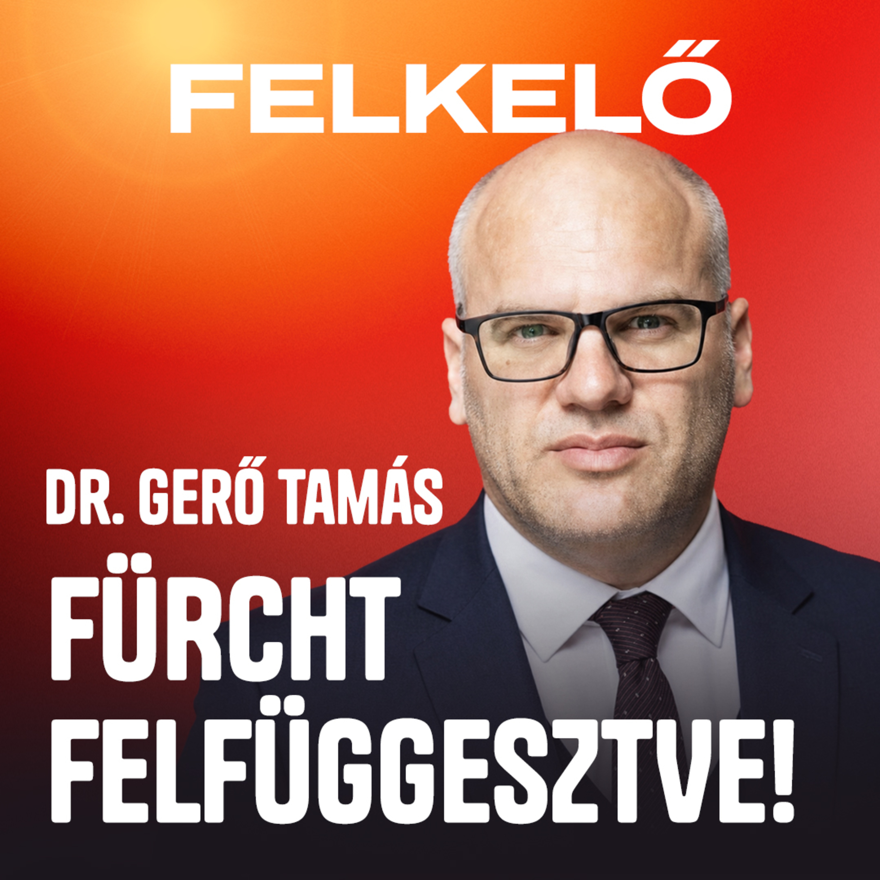 Jogos a fegyelmi? – Gerő Tamás ügyvéd Fürcht Pál felfüggesztéséről