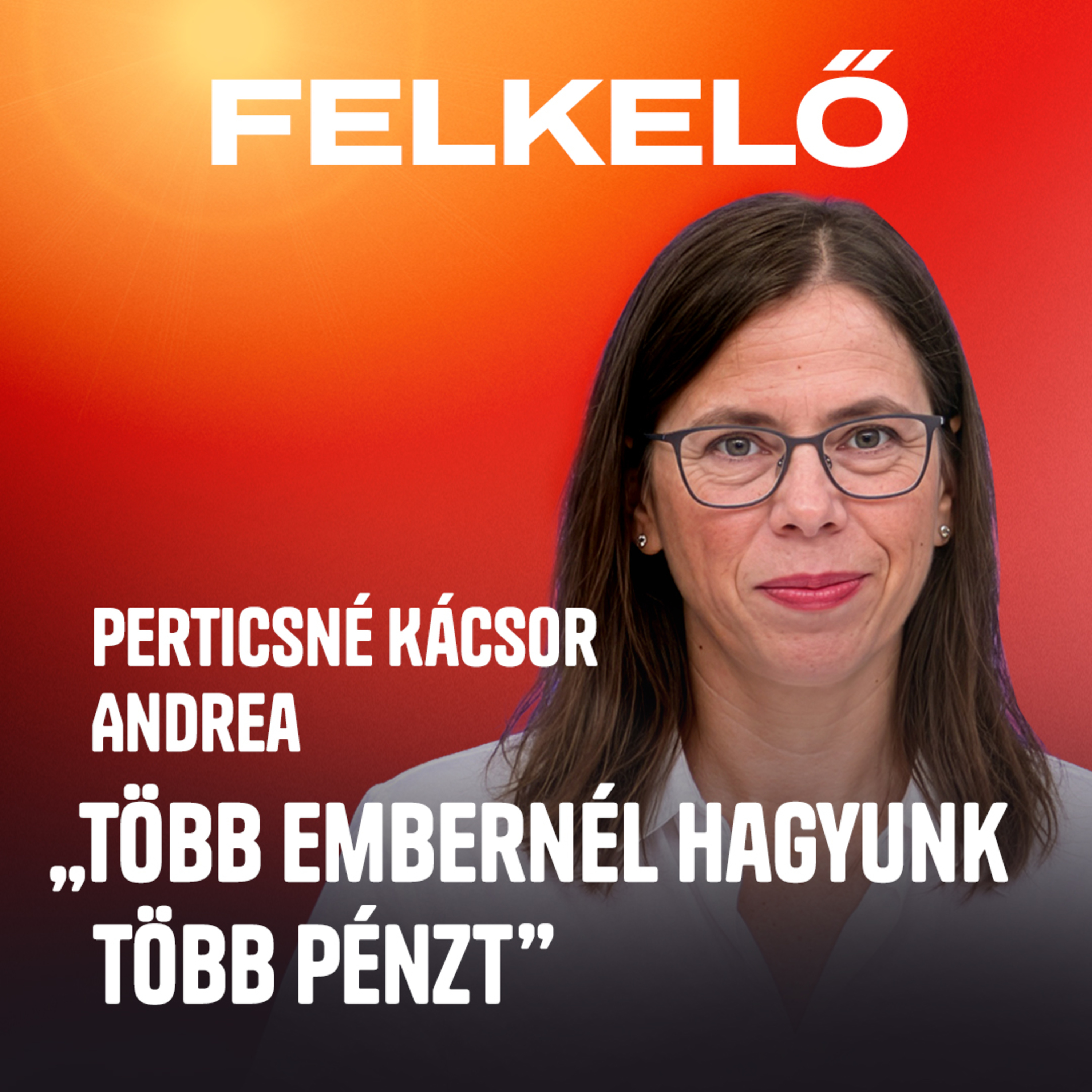 A szociális különbségeket csökkentenék a jövő évi költségvetéssel – Perticsné Kácsor Andrea