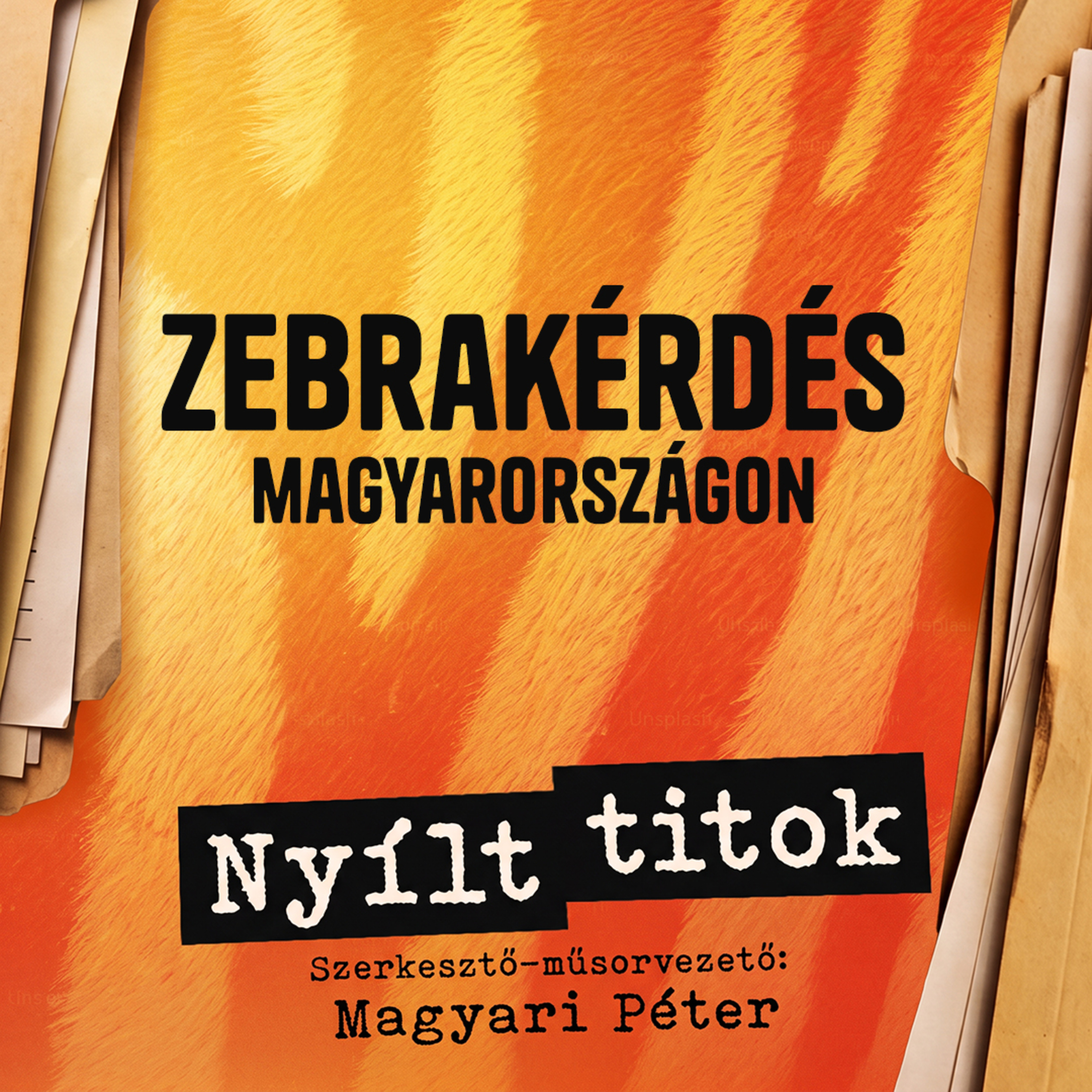 Pizsi és a többiek: zebrakérdés Magyarországon – Nyílt titok 1.