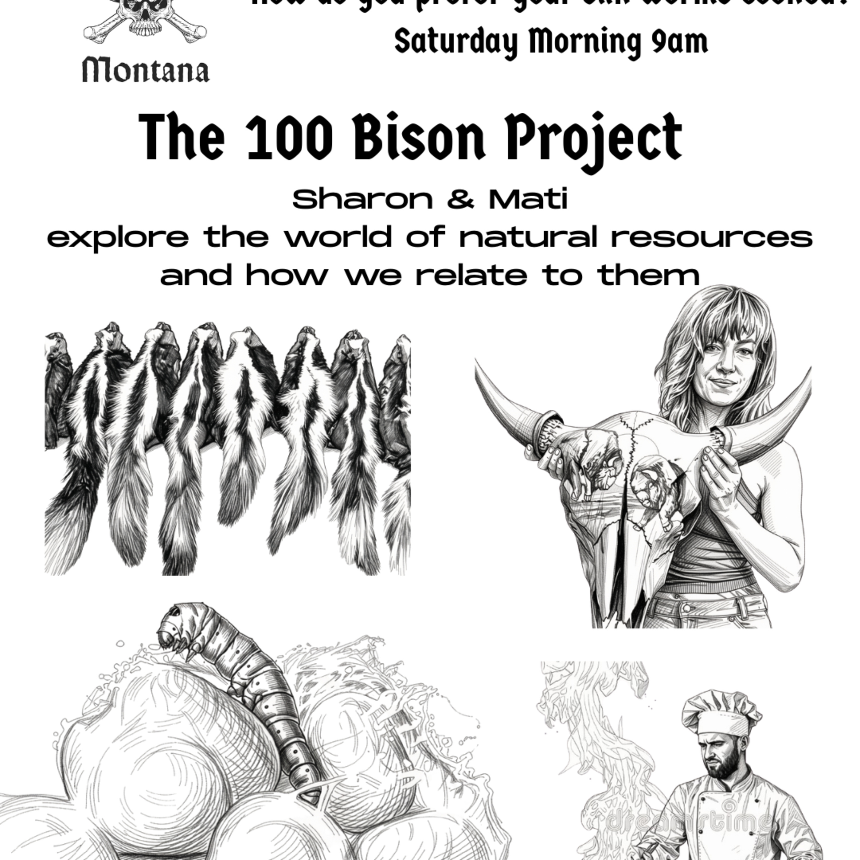 The 100 Bison Project Ep. 3 - How do you like your silk worms cooked?