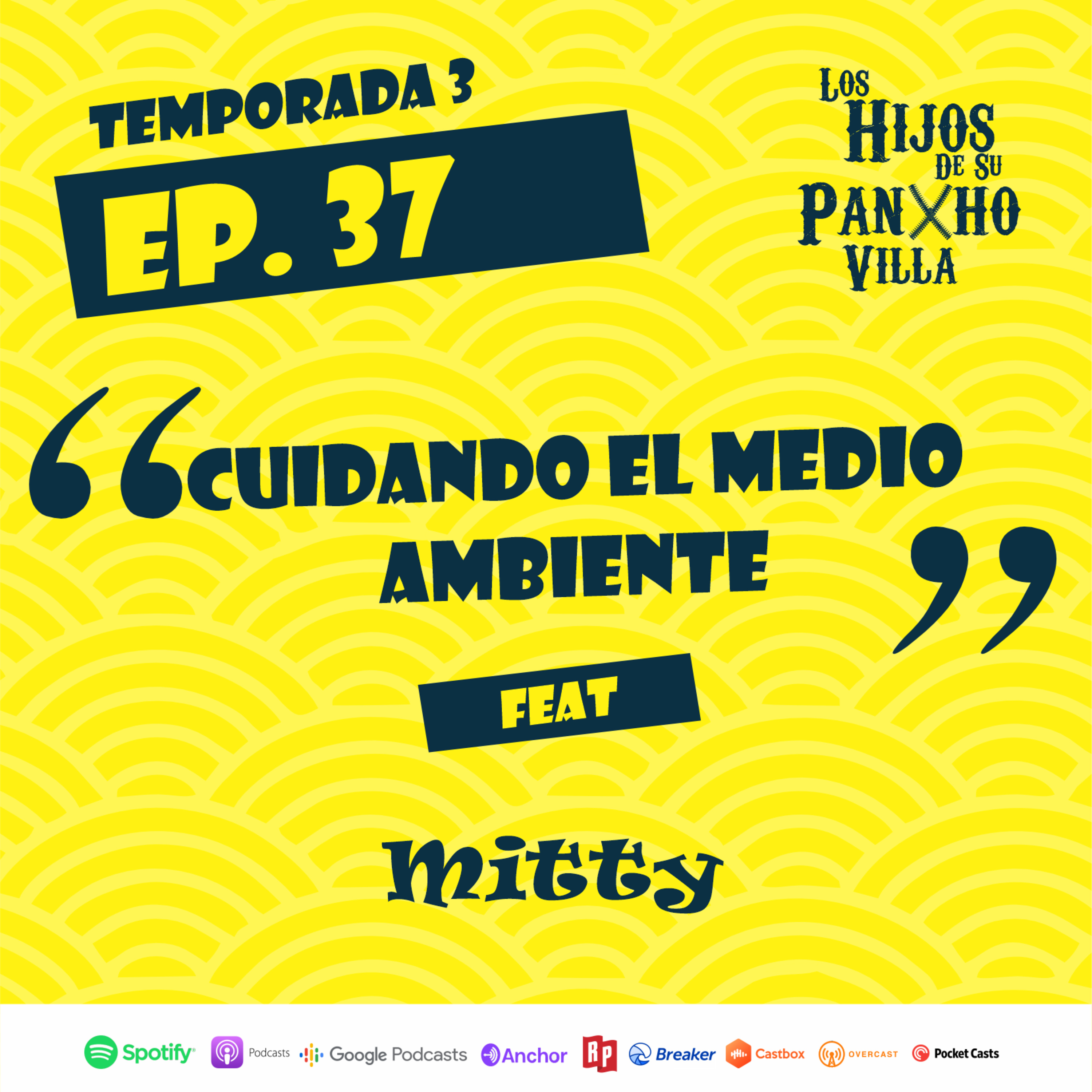 Como podemos cuidar el medio ambiente