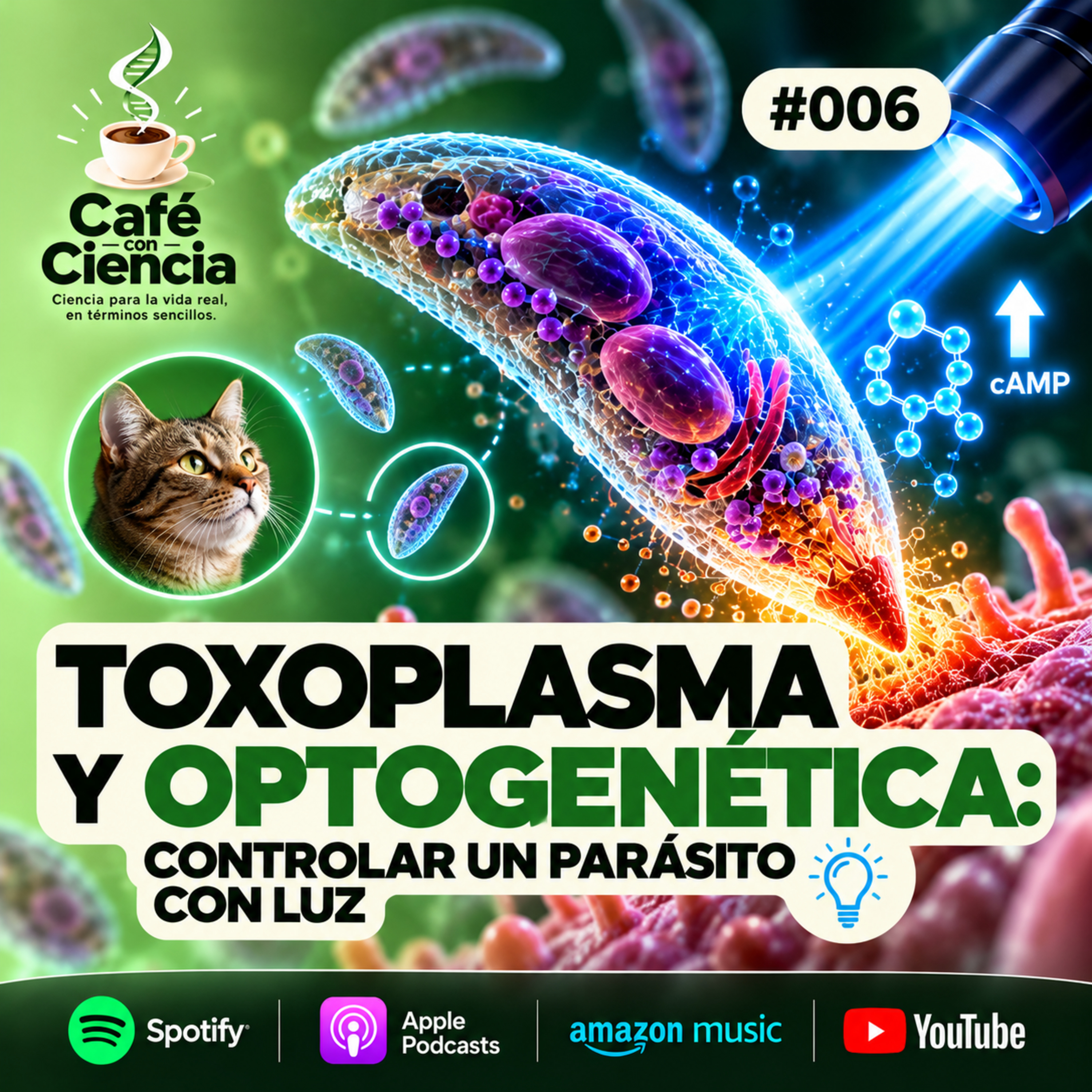 Portada de Café con Ciencia: Del paper a la vida real