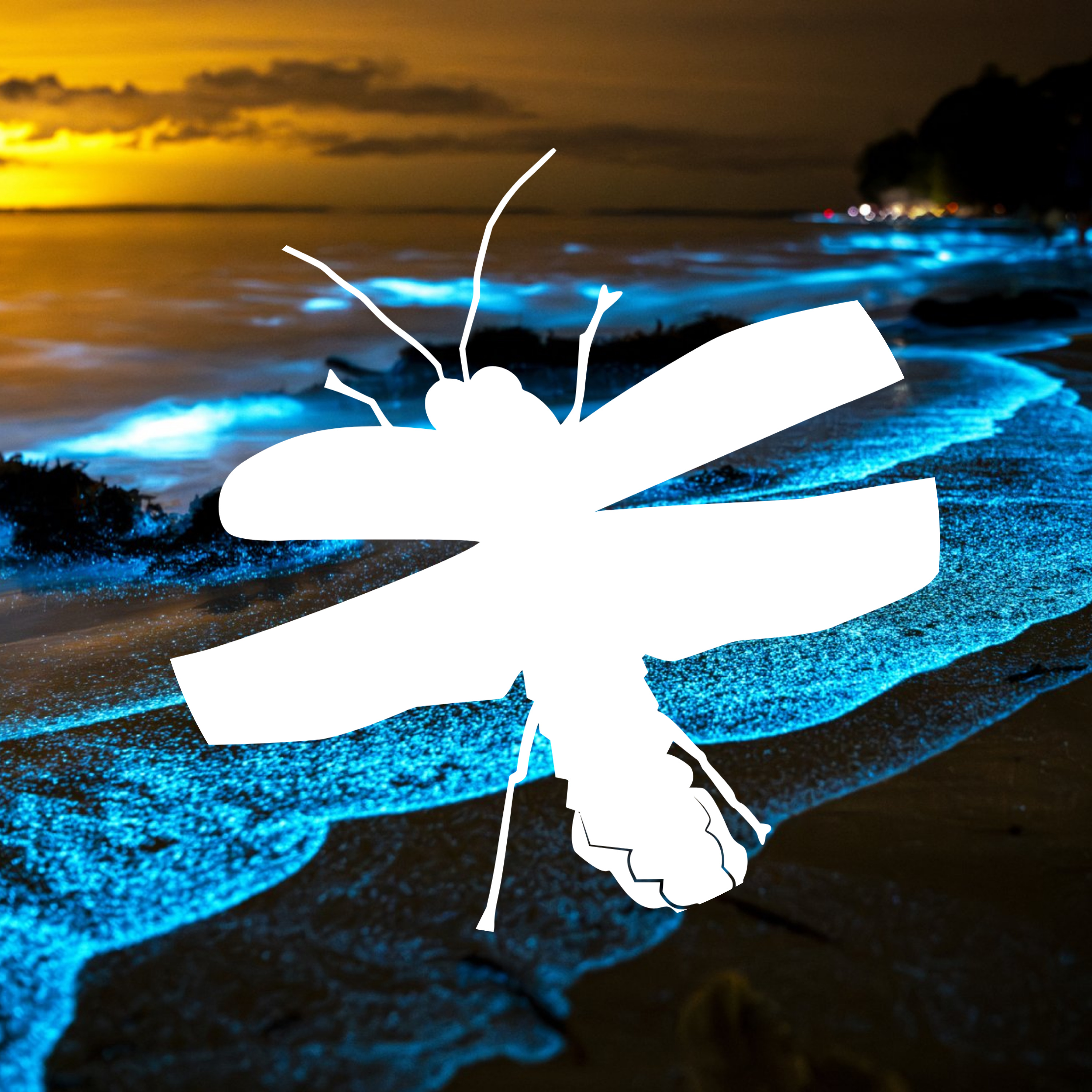 Bioluminescence episode artwork