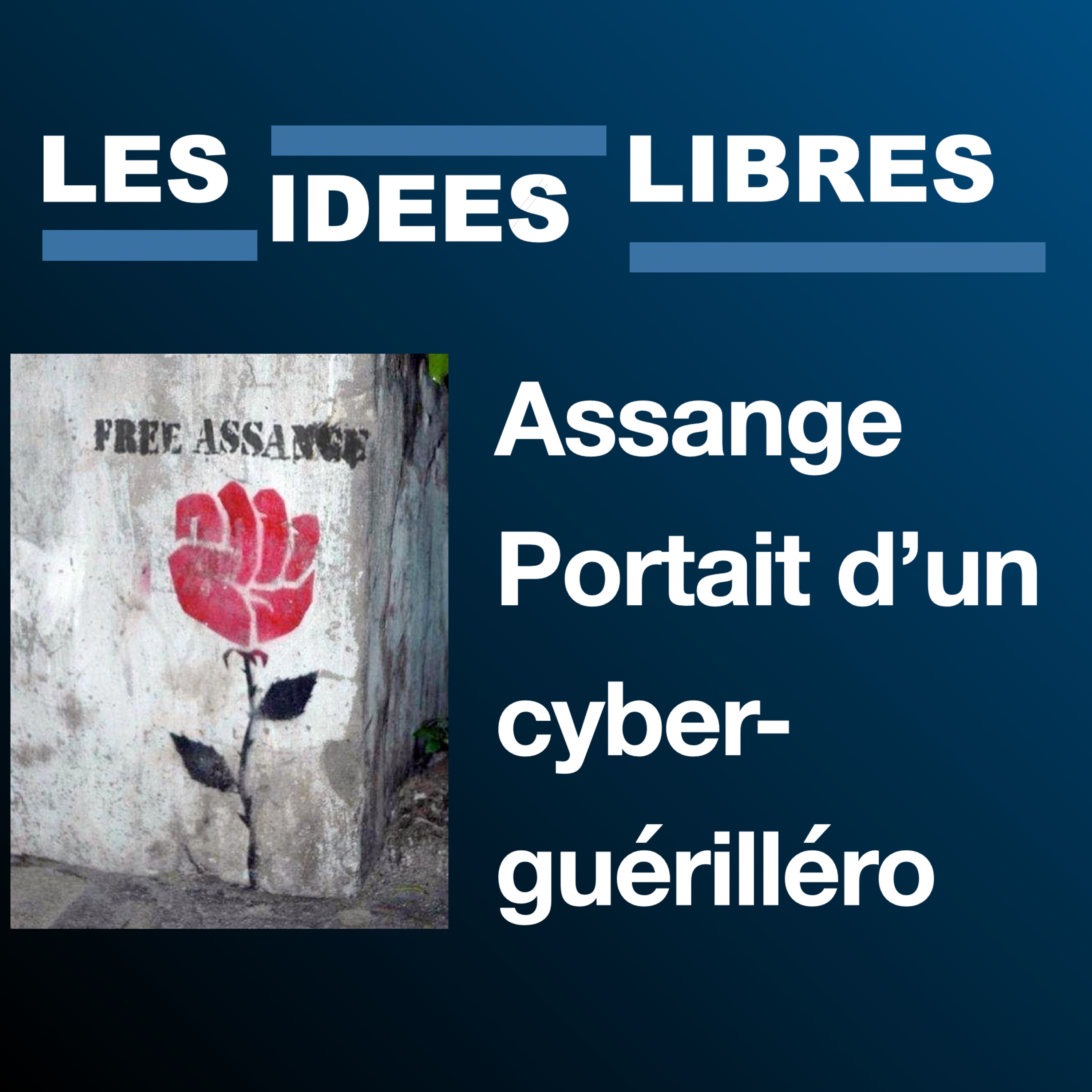 Julian Assange : Portait d’un  cyber- guérilléro Partie 1/2