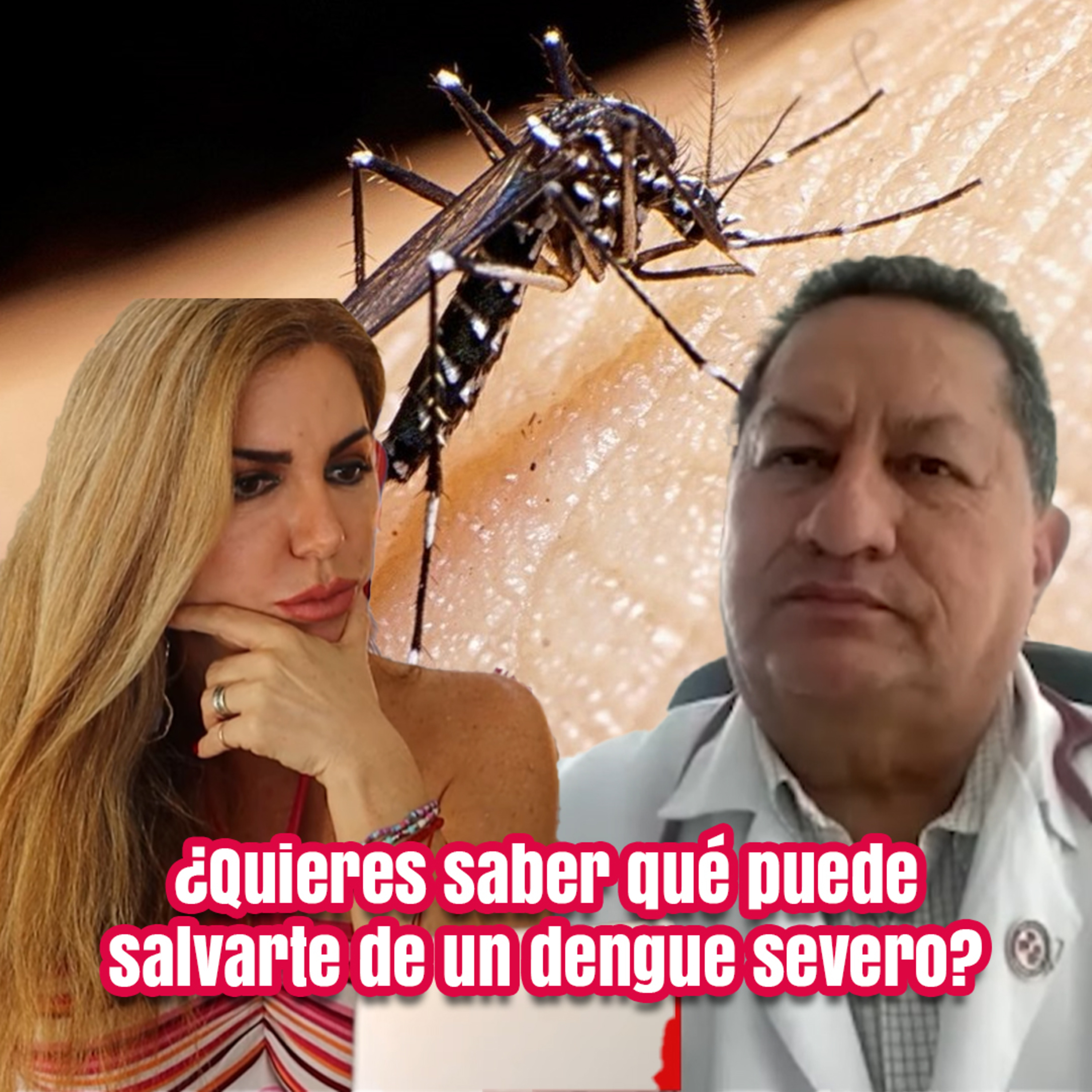 ¿Quieres saber qué puede salvarte de un dengue severo? | ¿Qué Pasa? con Mariela episode artwork