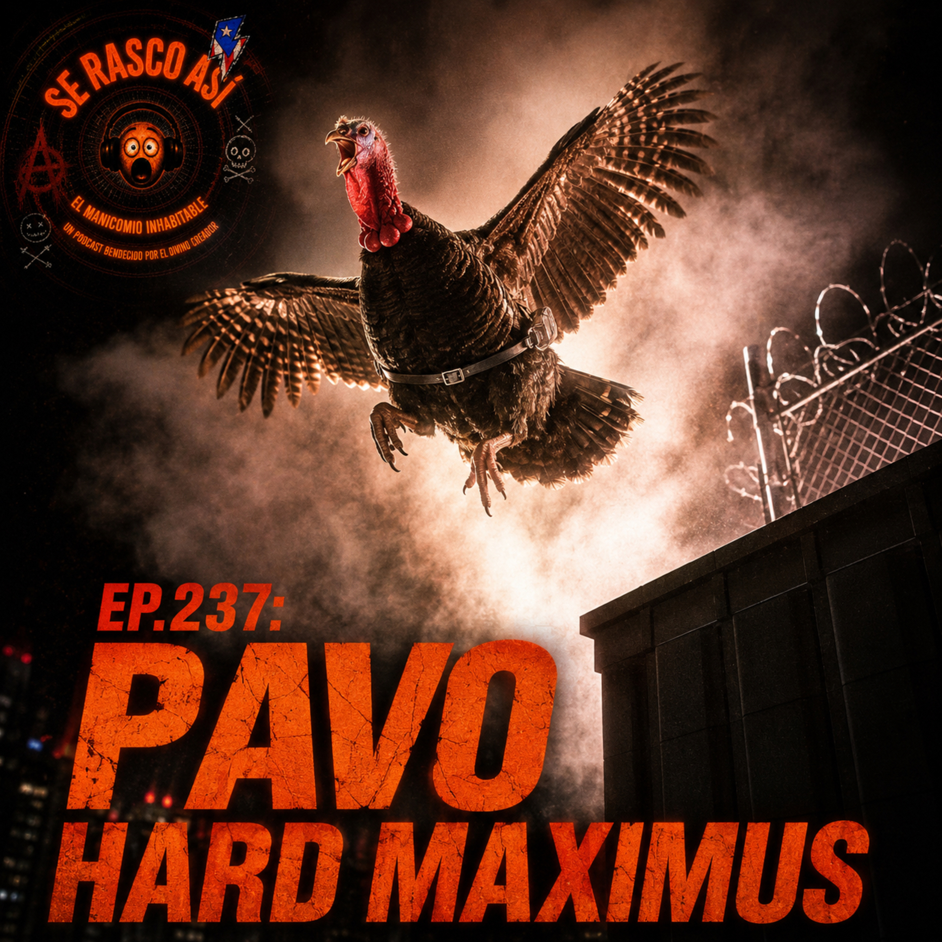 Ep.237: Pavo Hard Maximus episode artwork