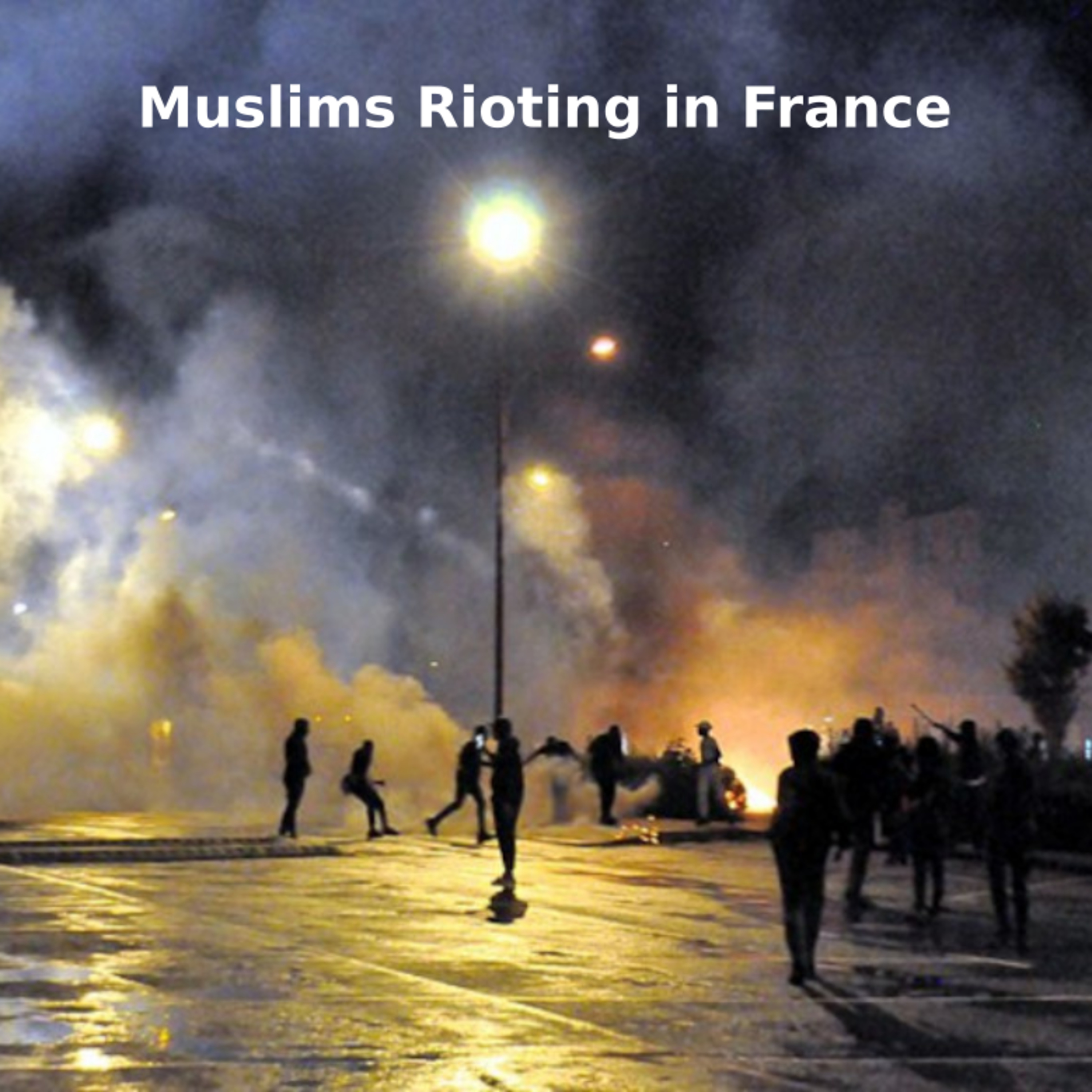 Muslims Rioting in France episode artwork