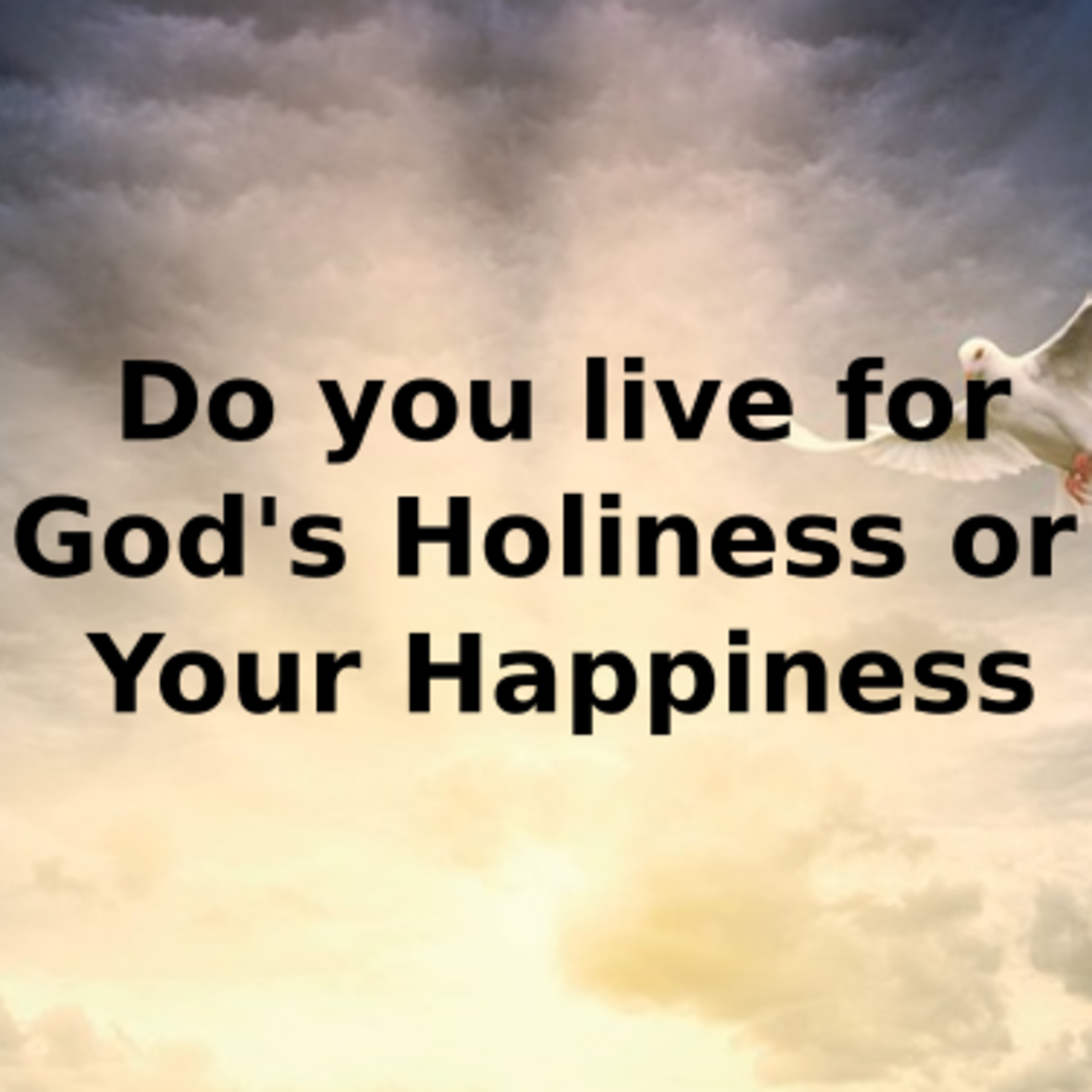 Do you live for God's Holiness or Your Happiness episode artwork