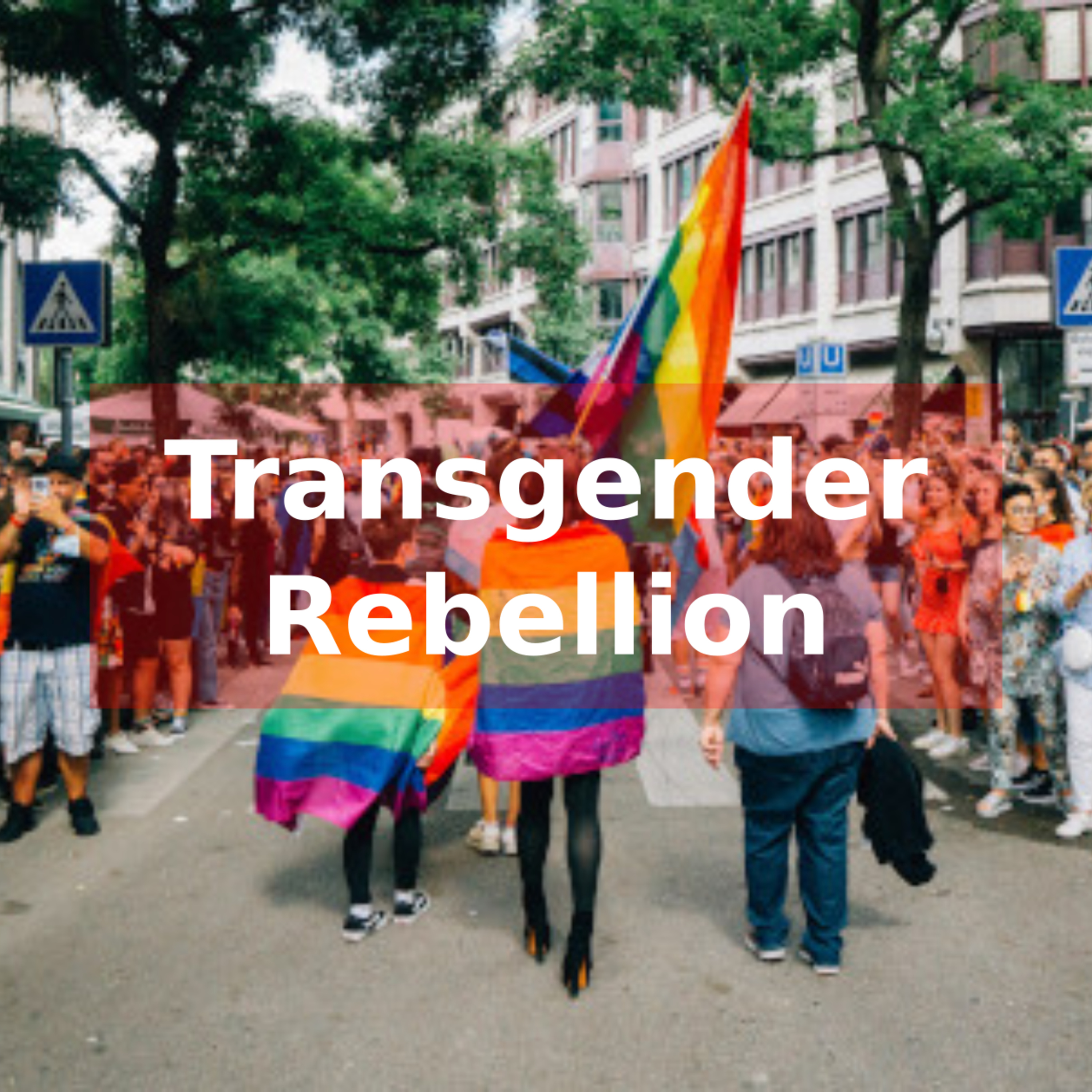 Transgender Rebellion episode artwork