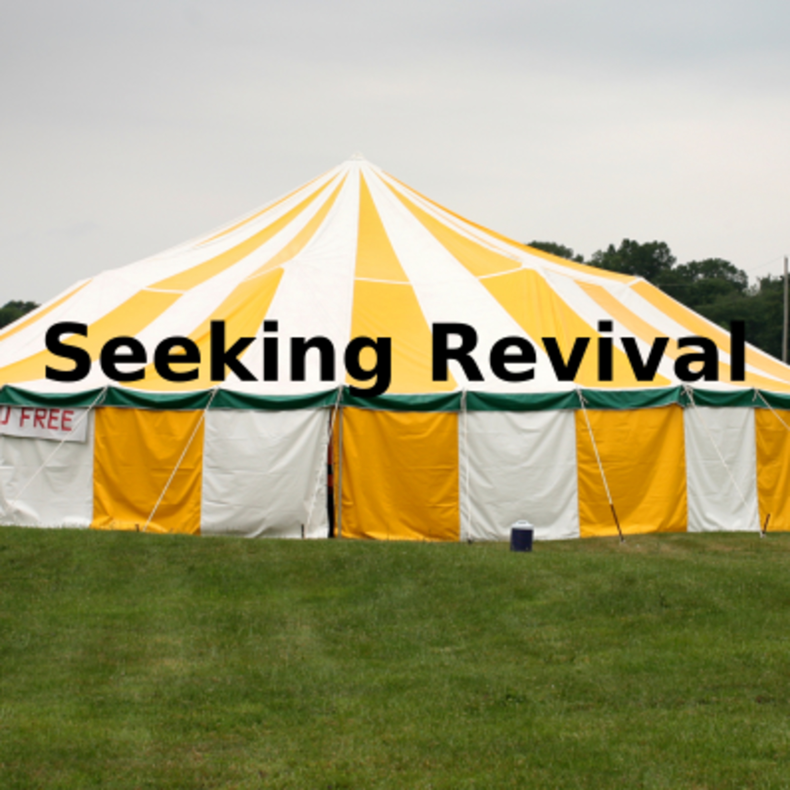Seeking Revival Part 1 episode artwork