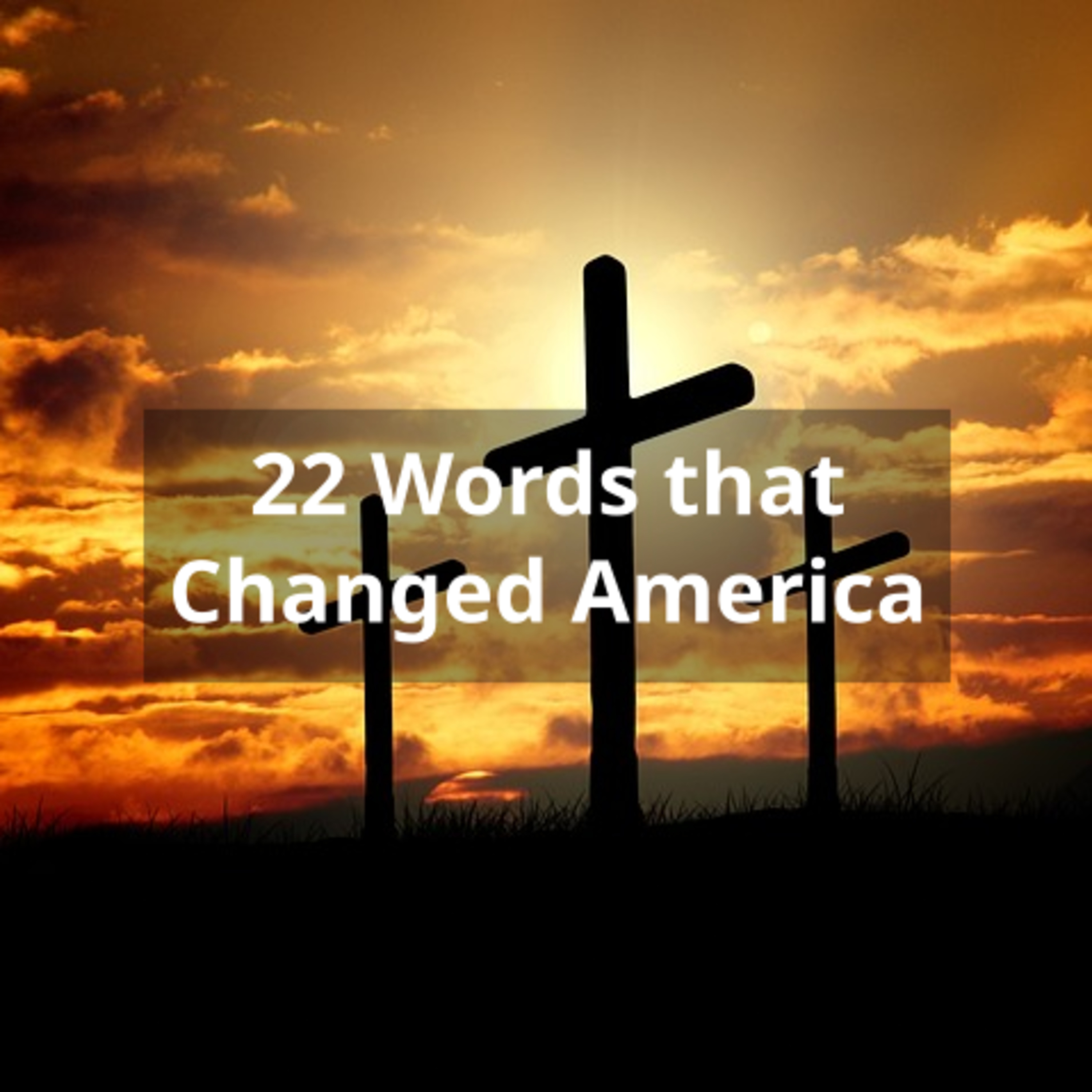 22 Words that Changed America episode artwork