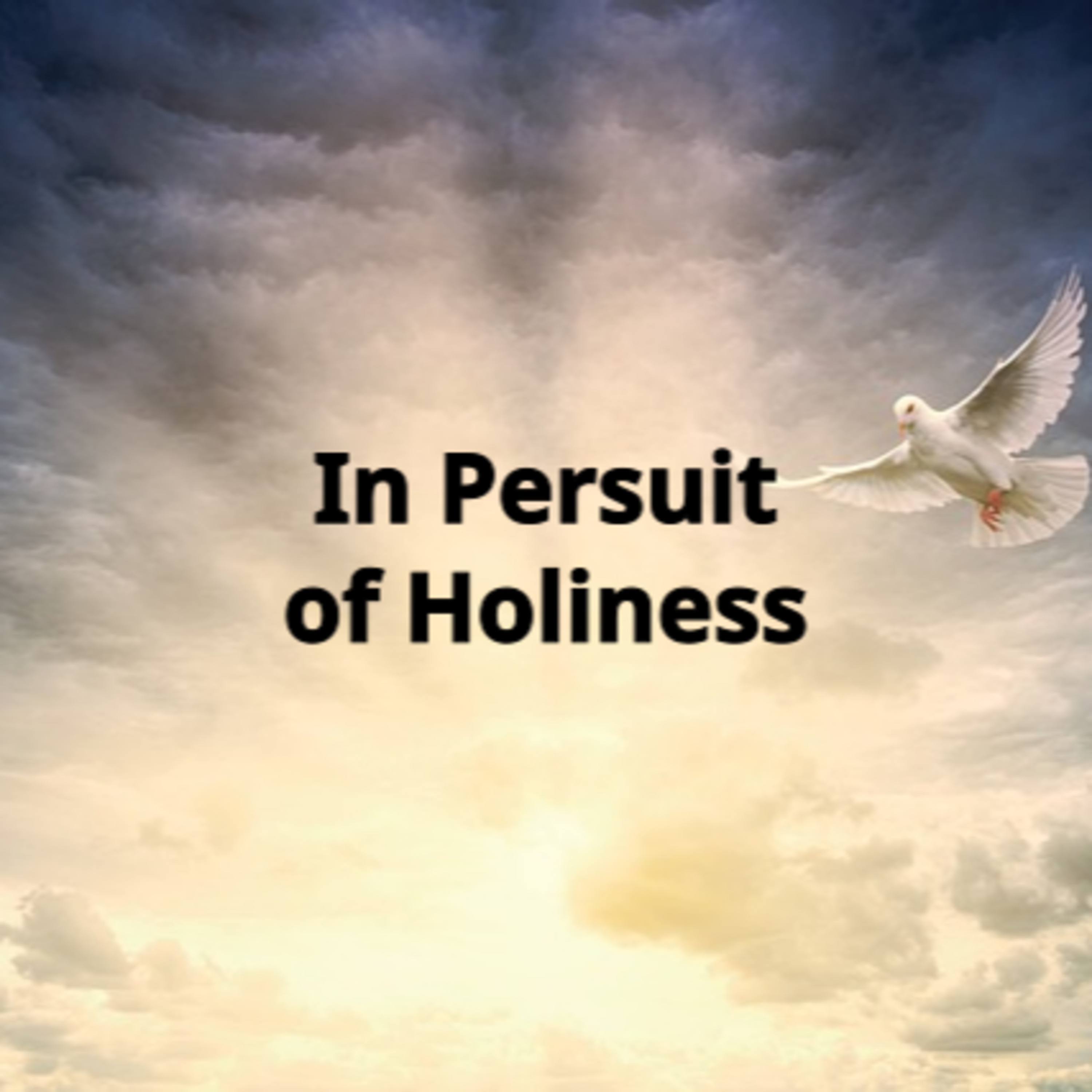In Pursuit of Holiness episode artwork