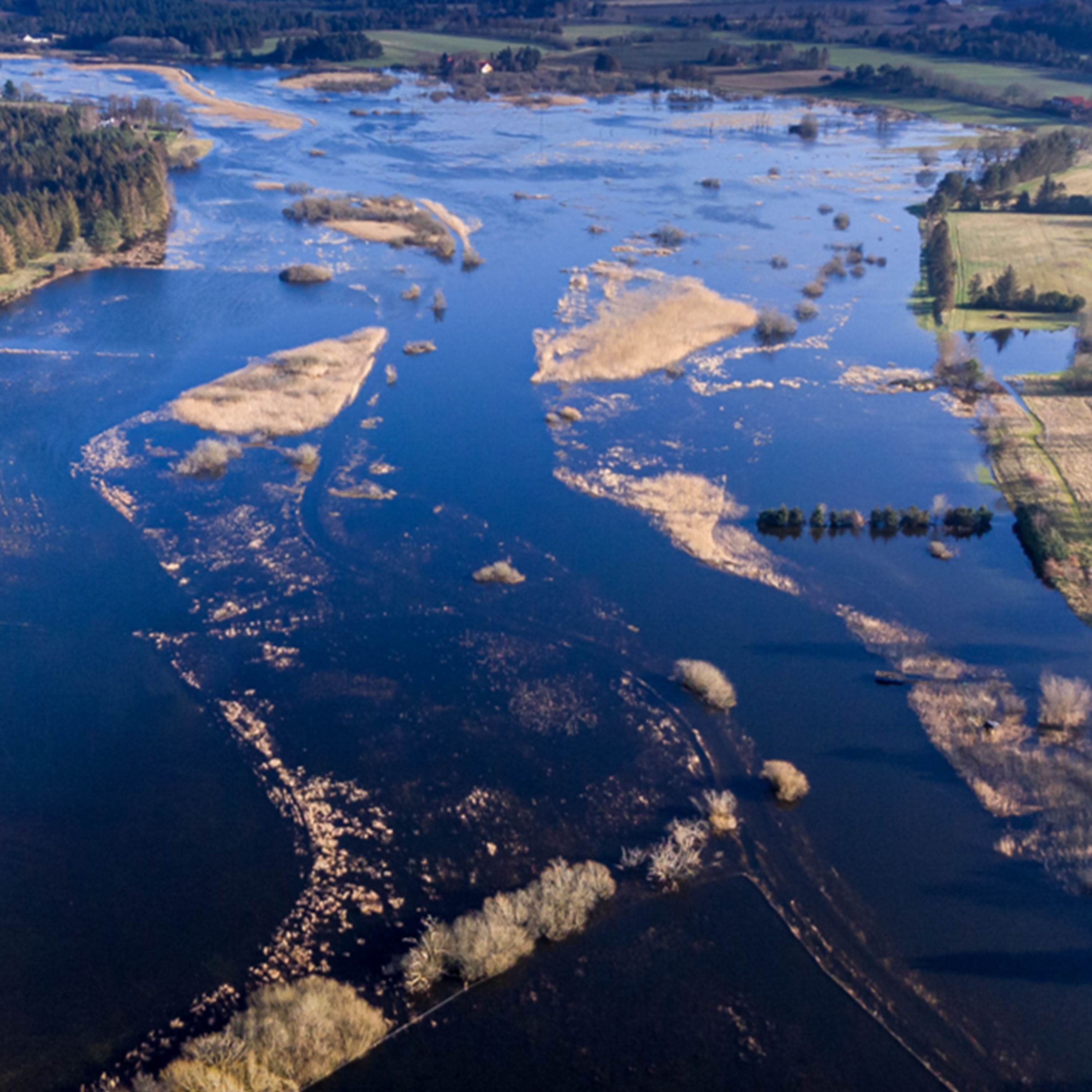 Miriam H. Jensen – Cultivating Temporal Attunement