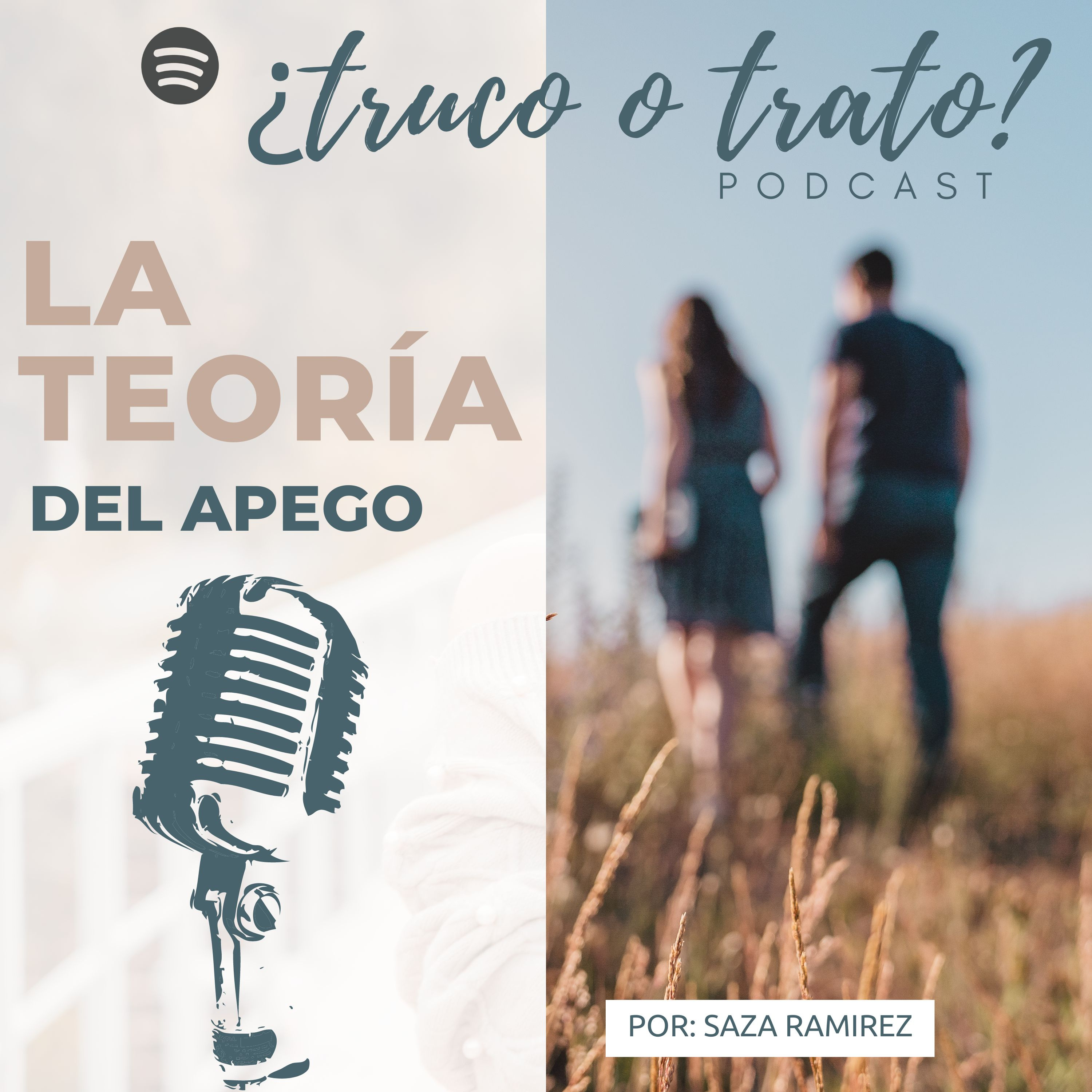 E.19 La Teoría del Apego
