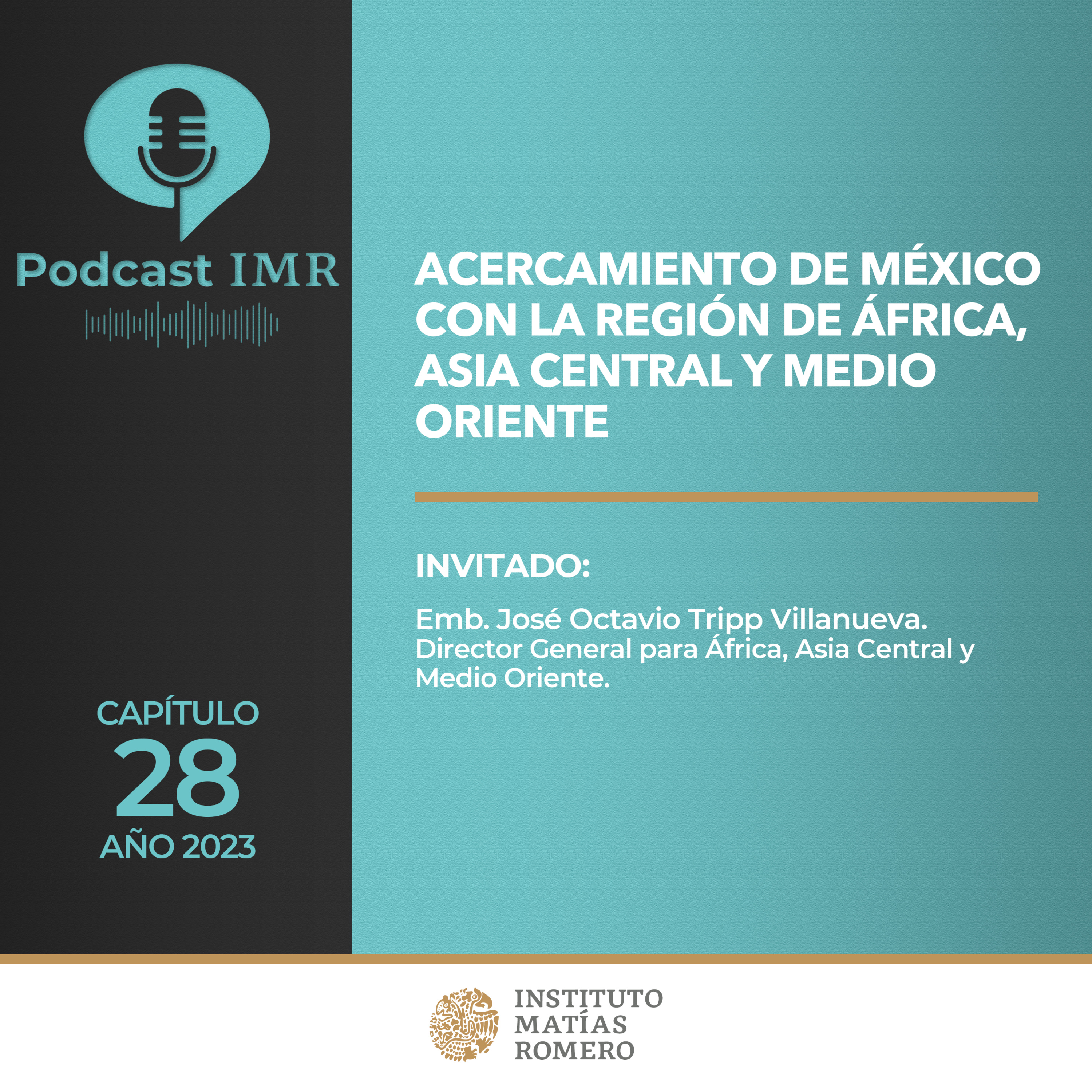 Podcast IMR