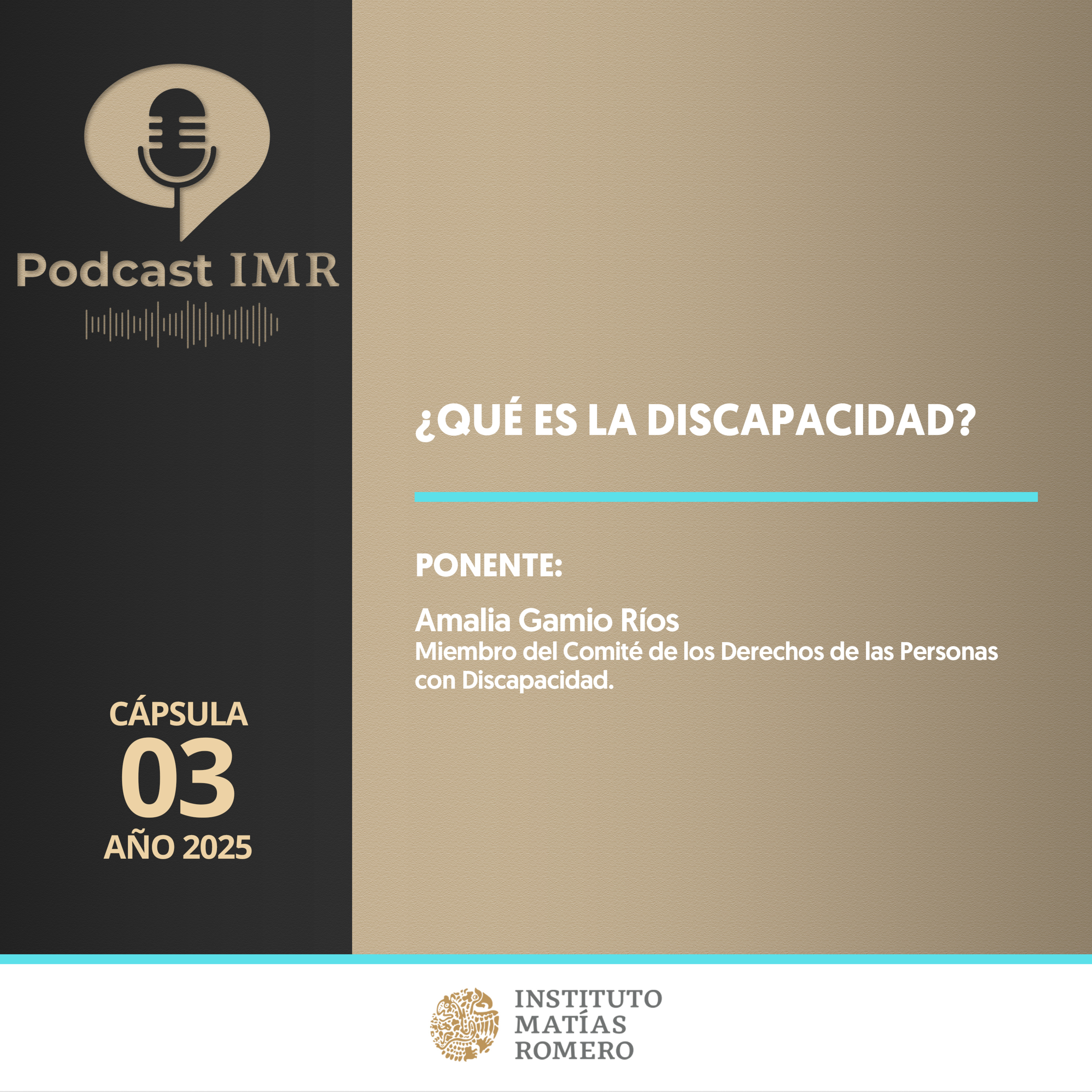 Cápsula IMR - ¿Qué es la discapacidad?
