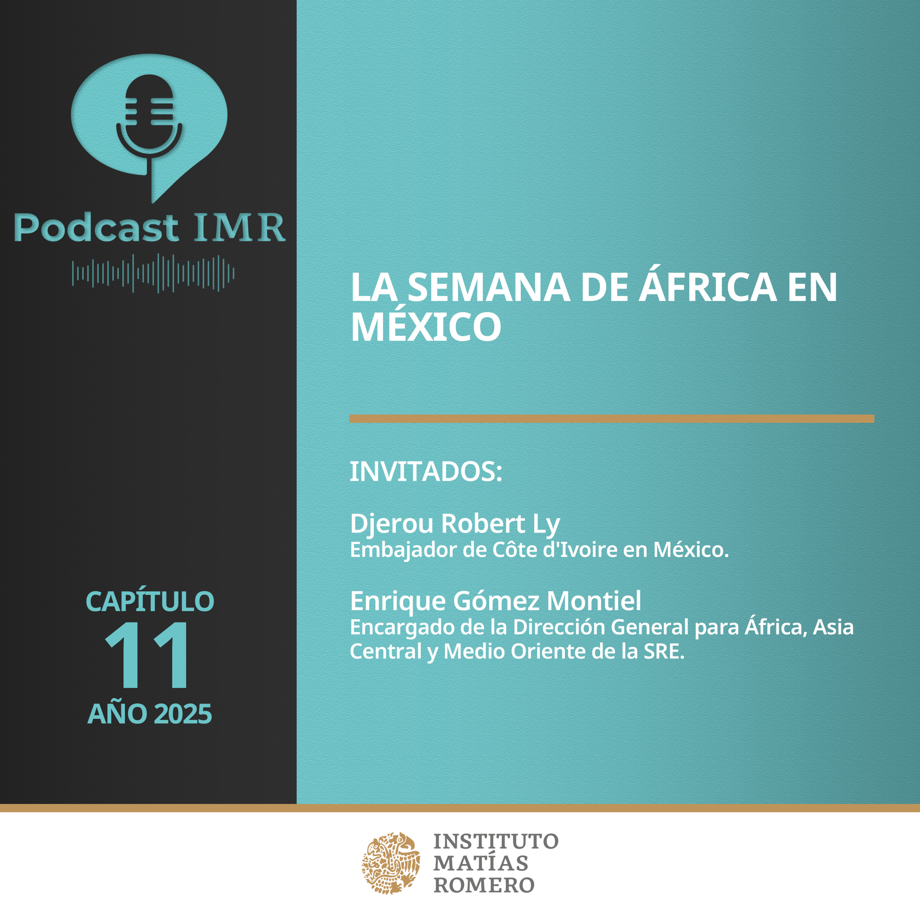 Podcast IMR