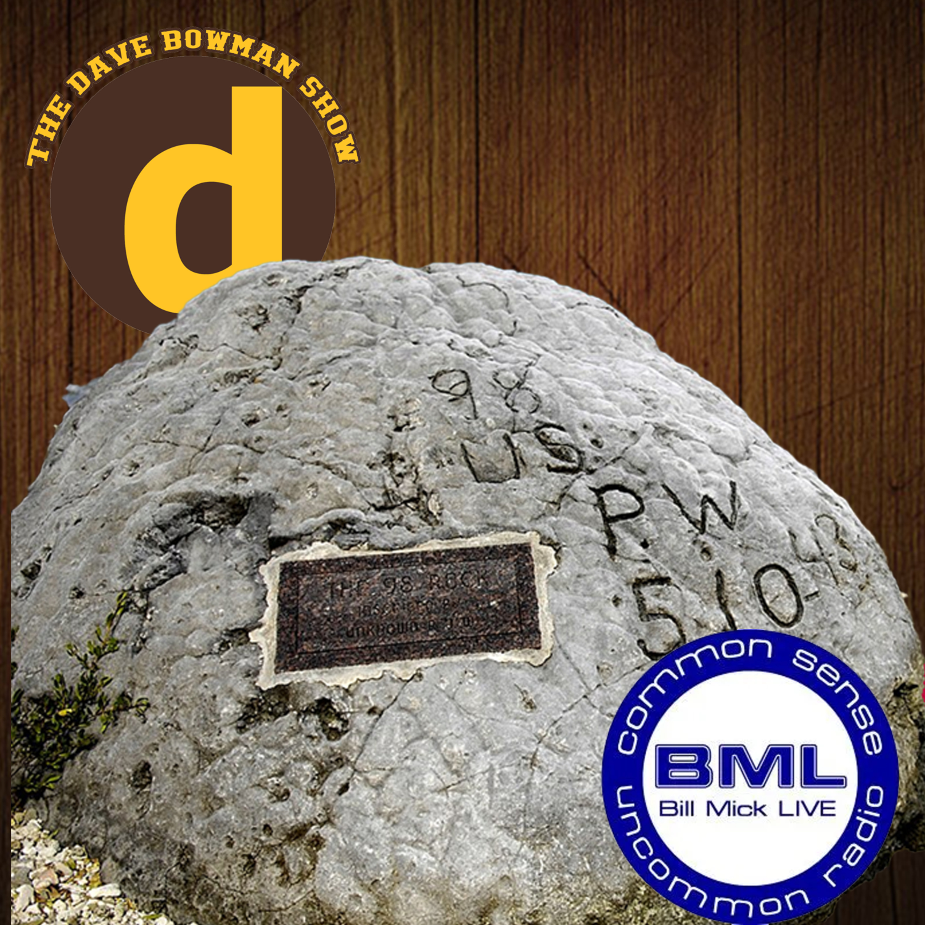 Plausibly Live - The Dave Bowman Show