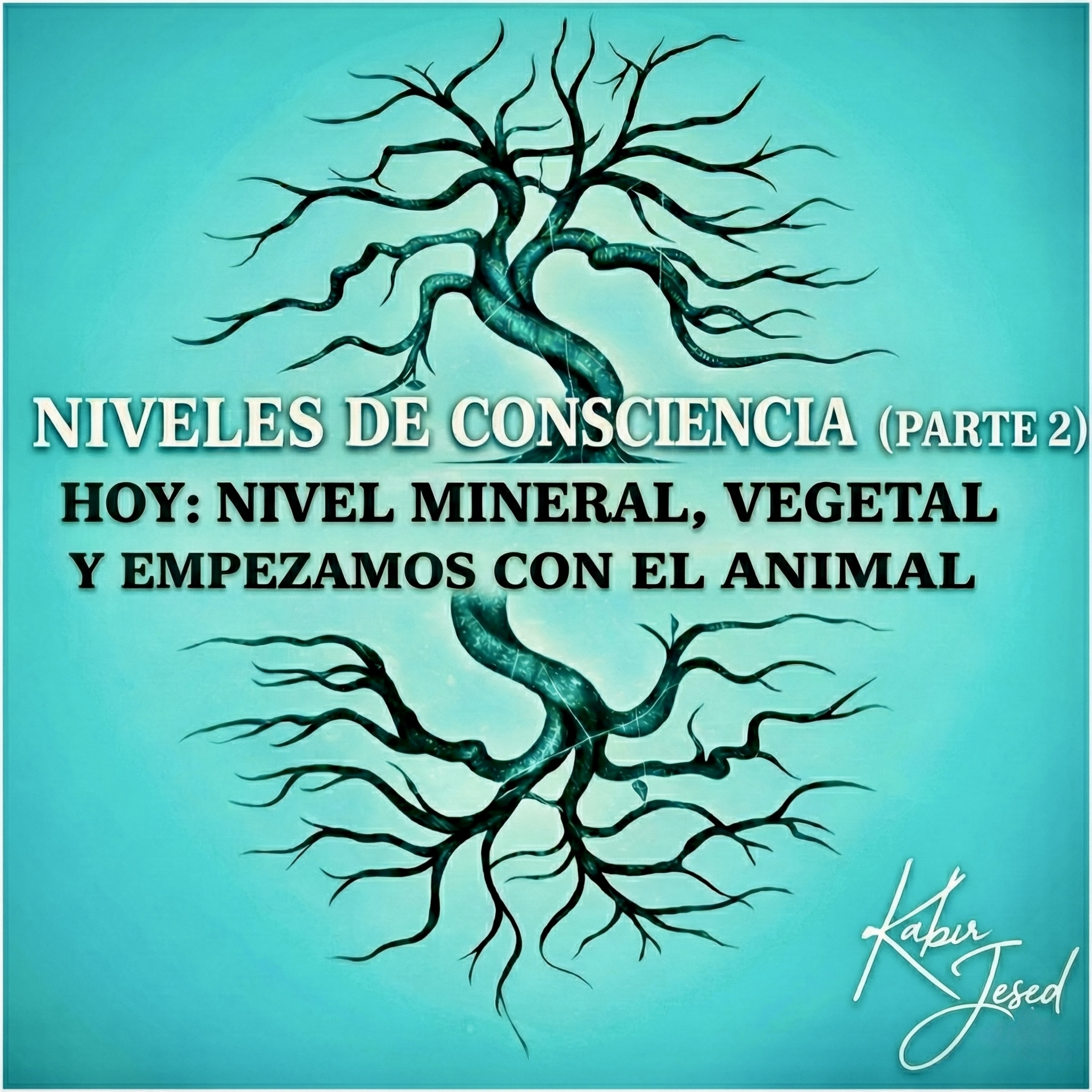 T6. Infusión Espiritual 30 | Niveles de consciencia — Parte 2 episode artwork