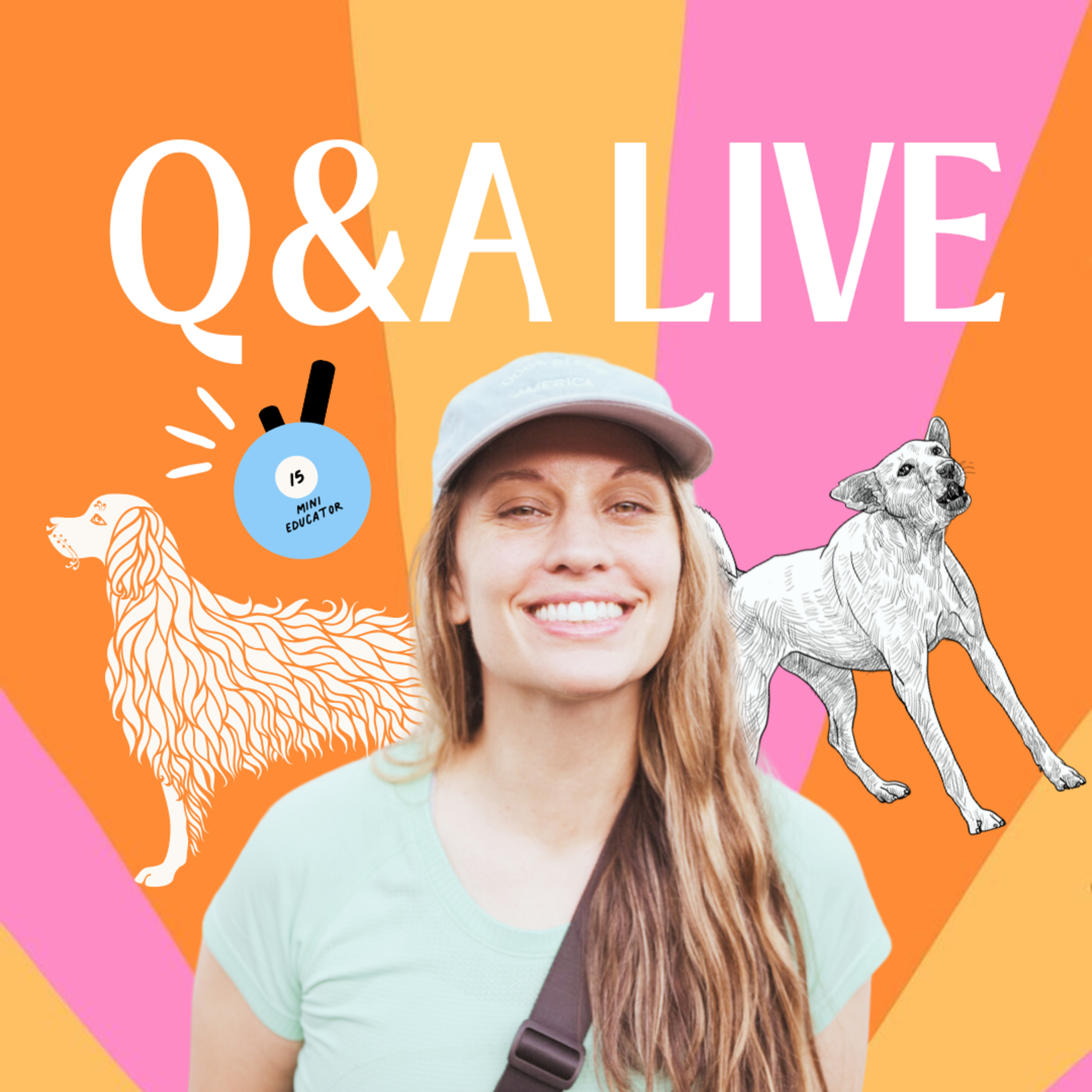 Q&A LIVE episode episode artwork
