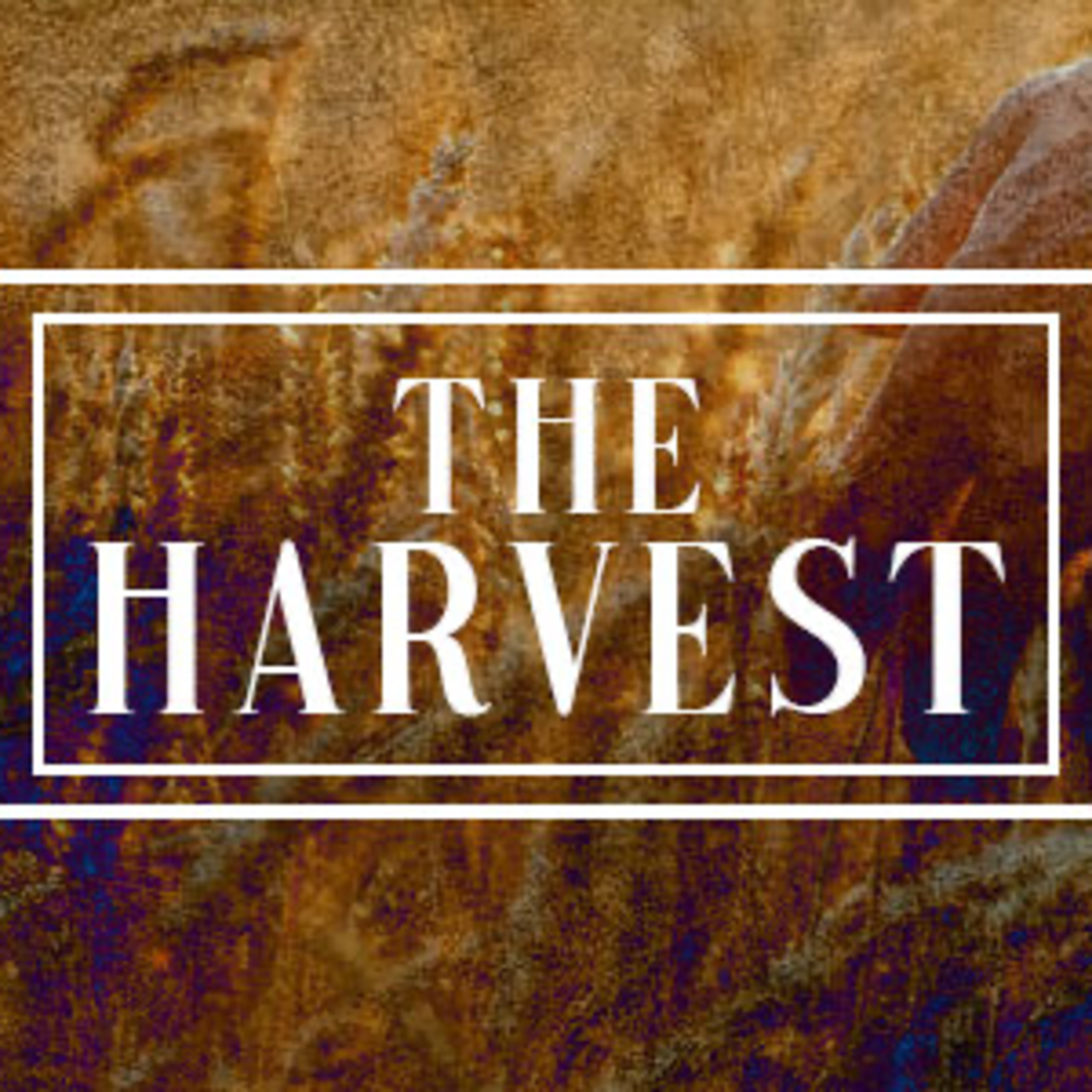 The Harvest episode artwork