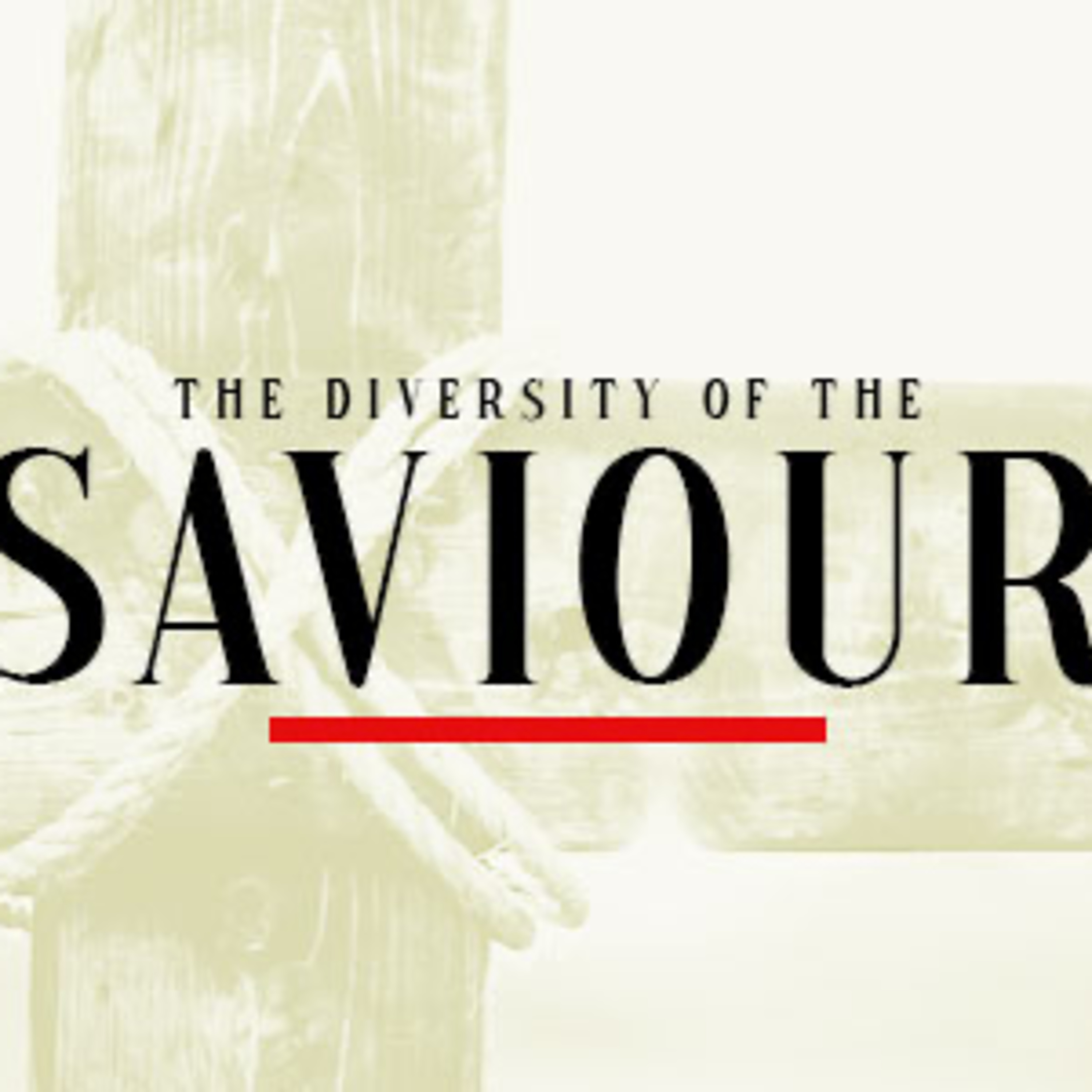 The Diversity of the Saviour episode artwork