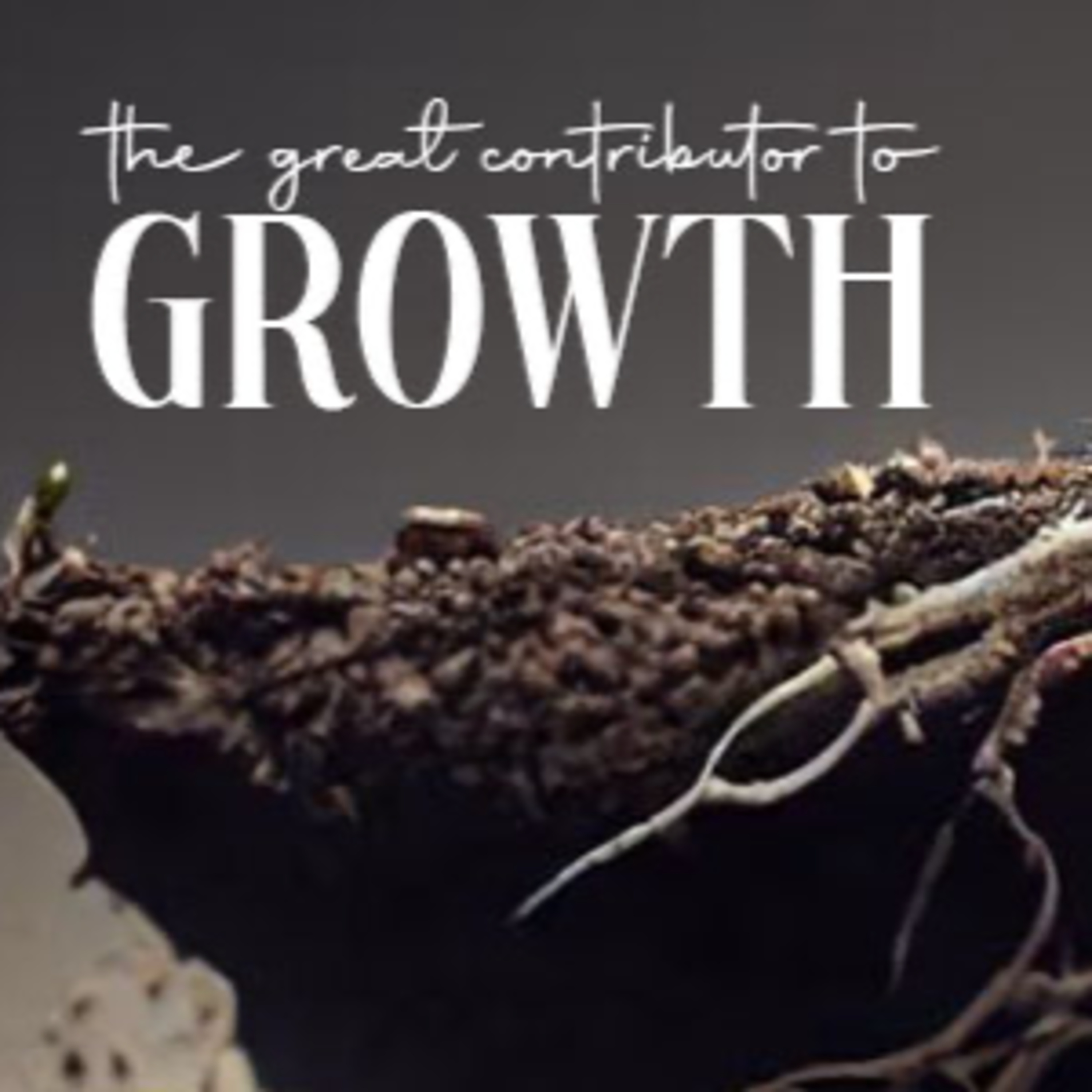 The Great Contributor to Growth episode artwork