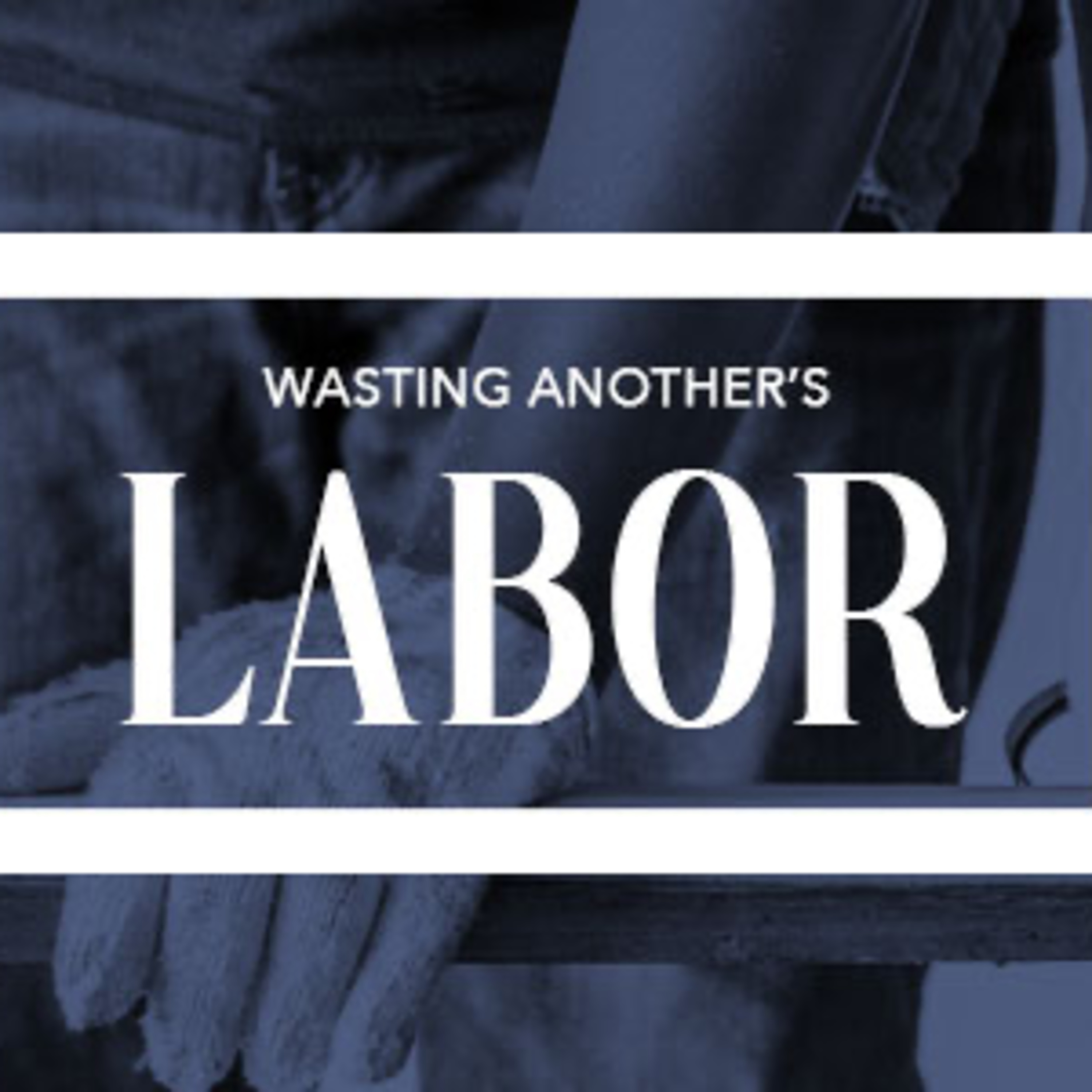 Wasting Another's Labors episode artwork