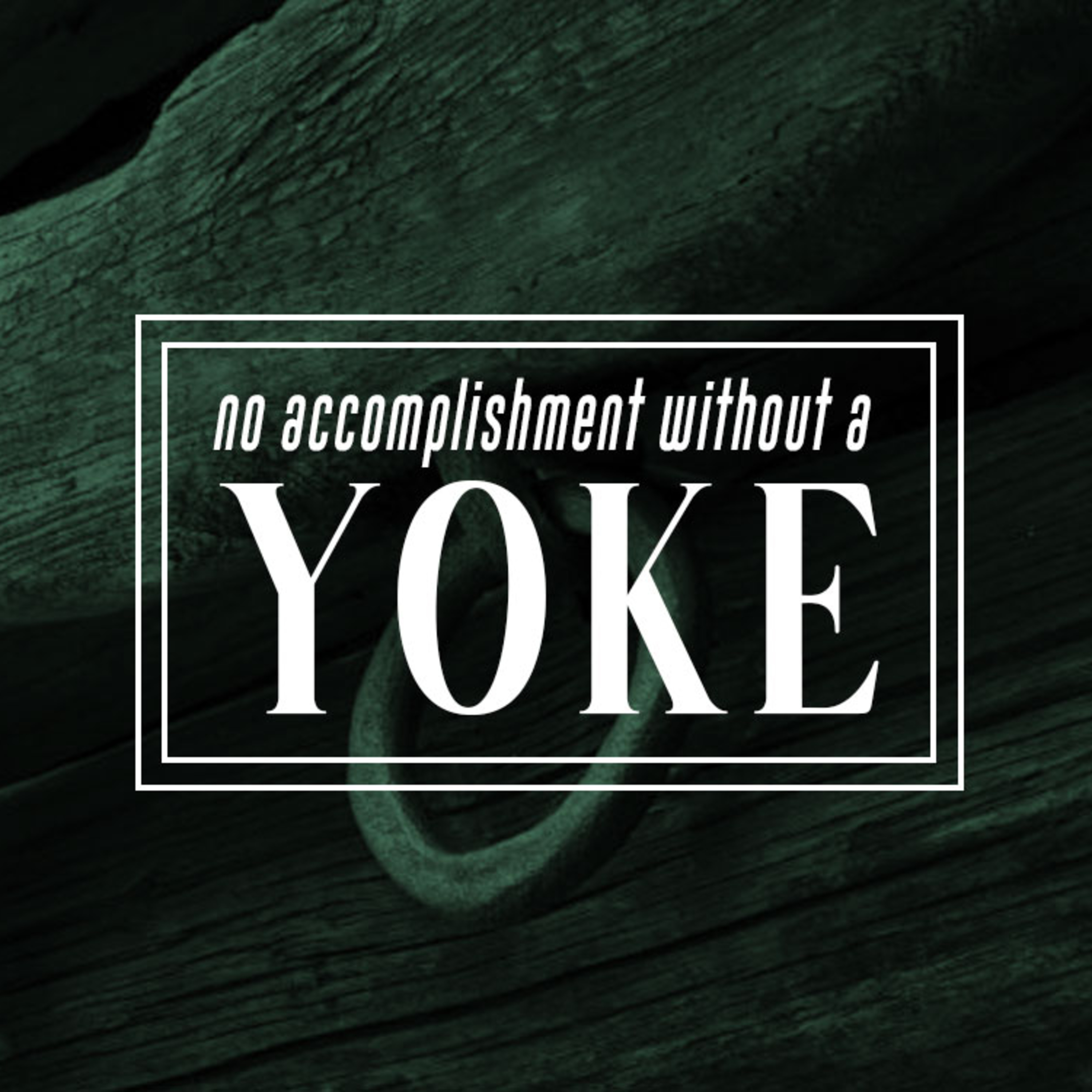 No Accomplishment Without a Yoke episode artwork
