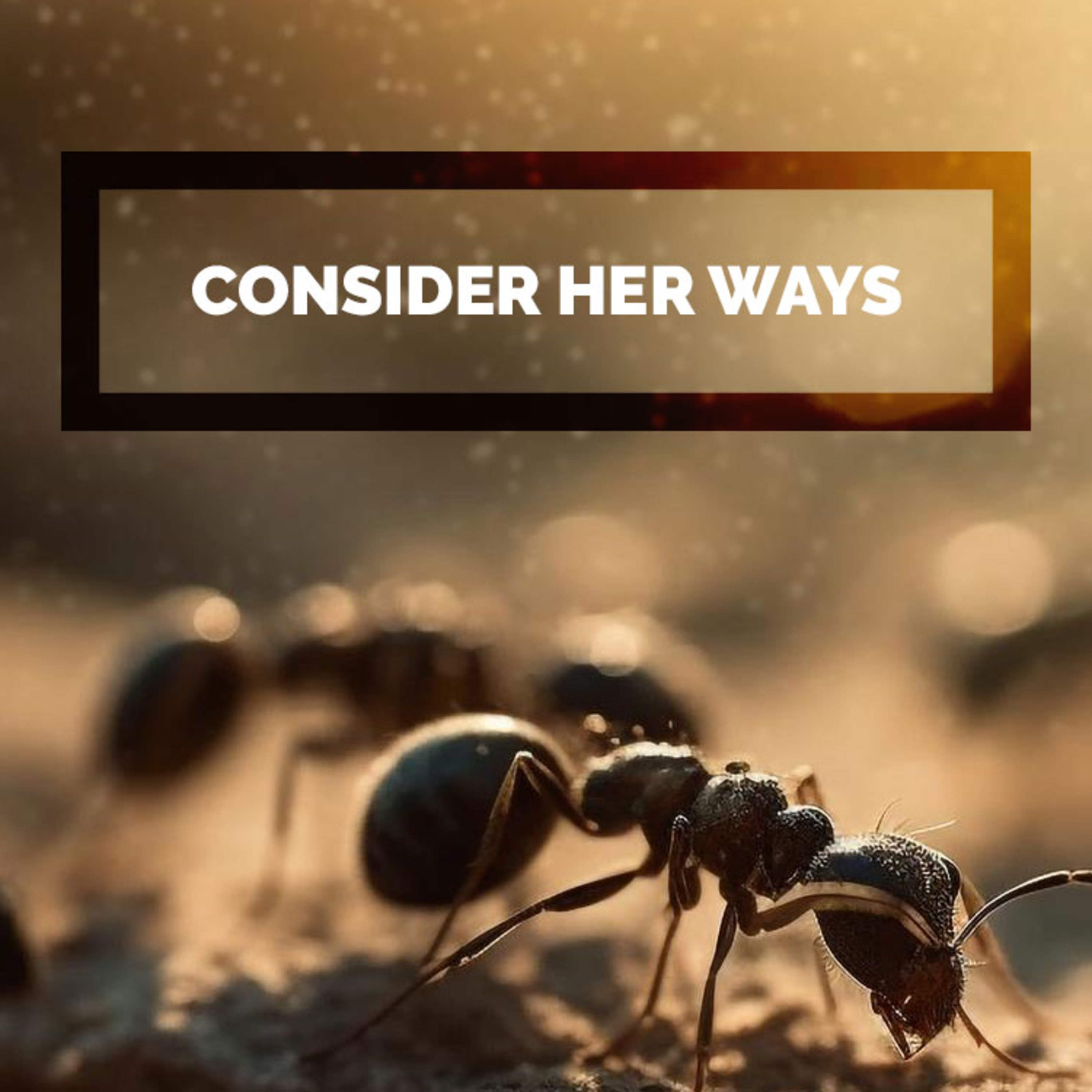 Consider Her Ways episode artwork